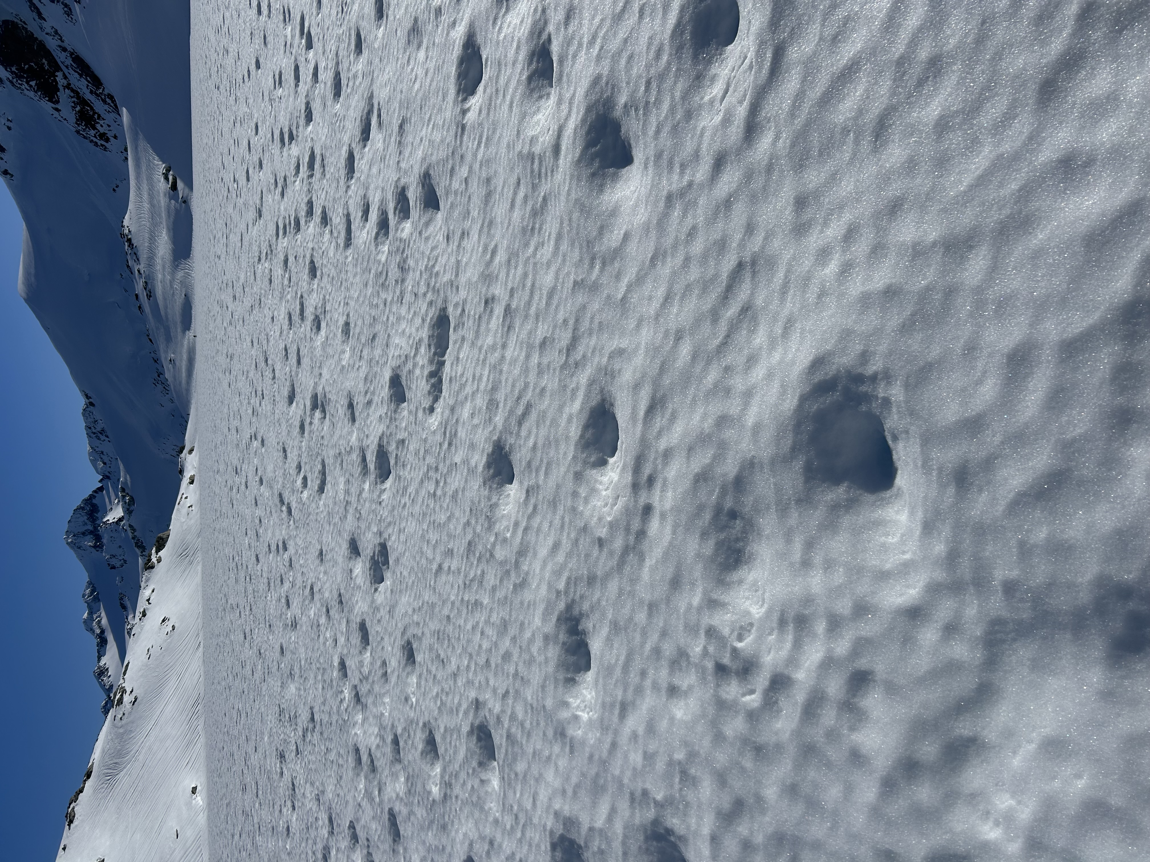 Observation photo