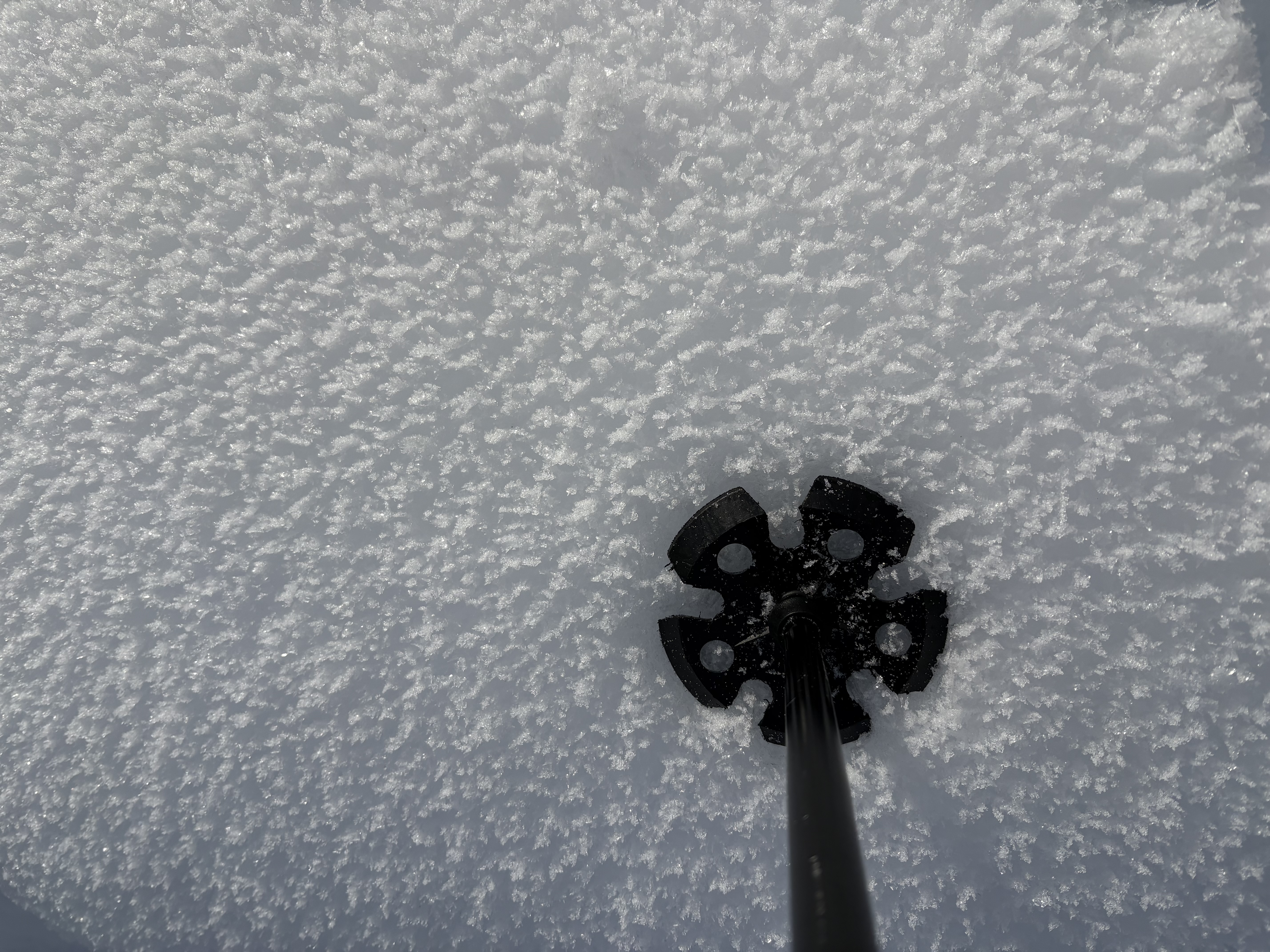 Observation photo
