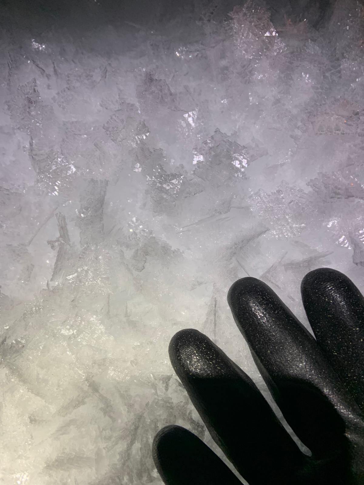 Observation photo