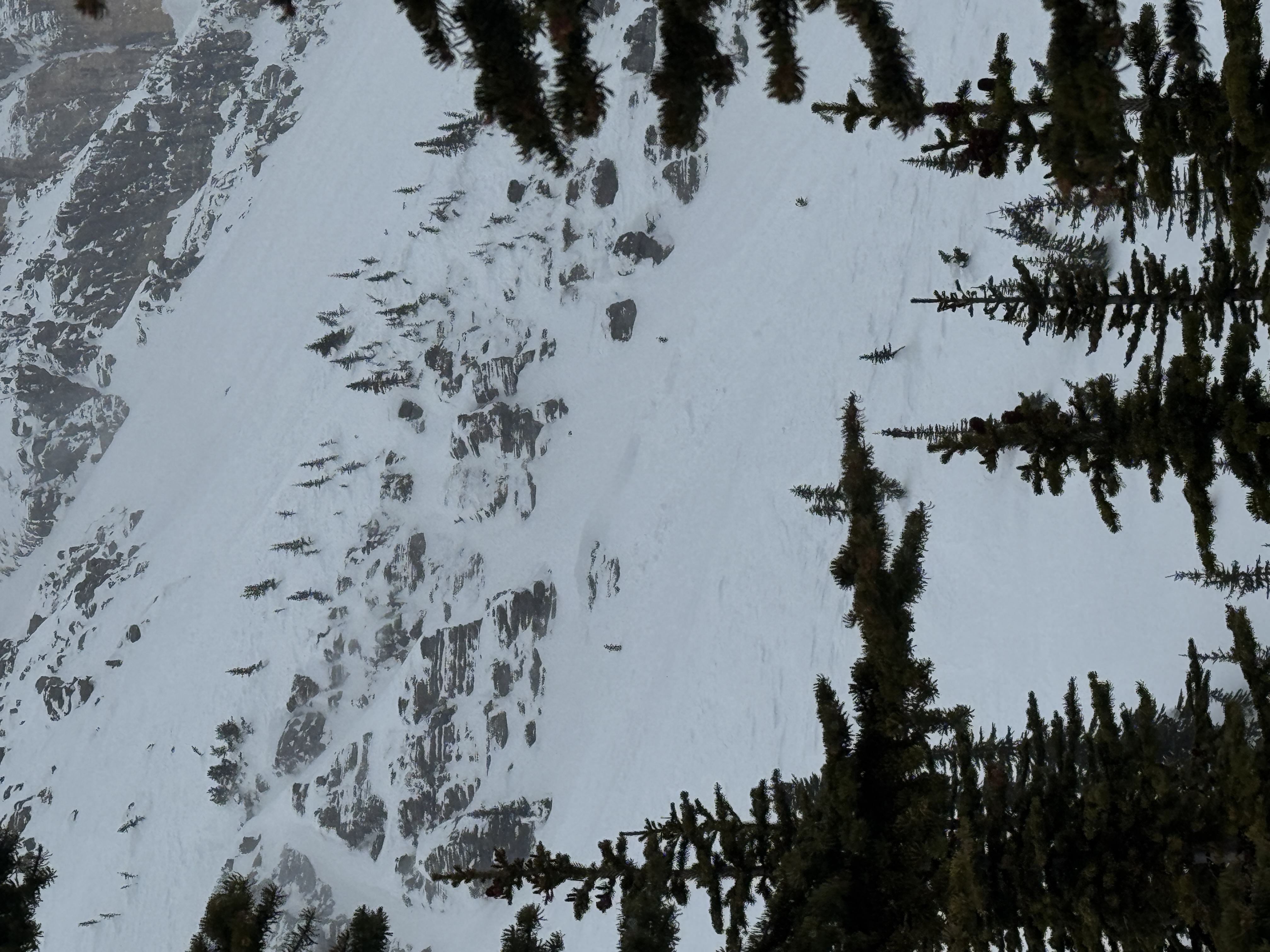 Observation photo
