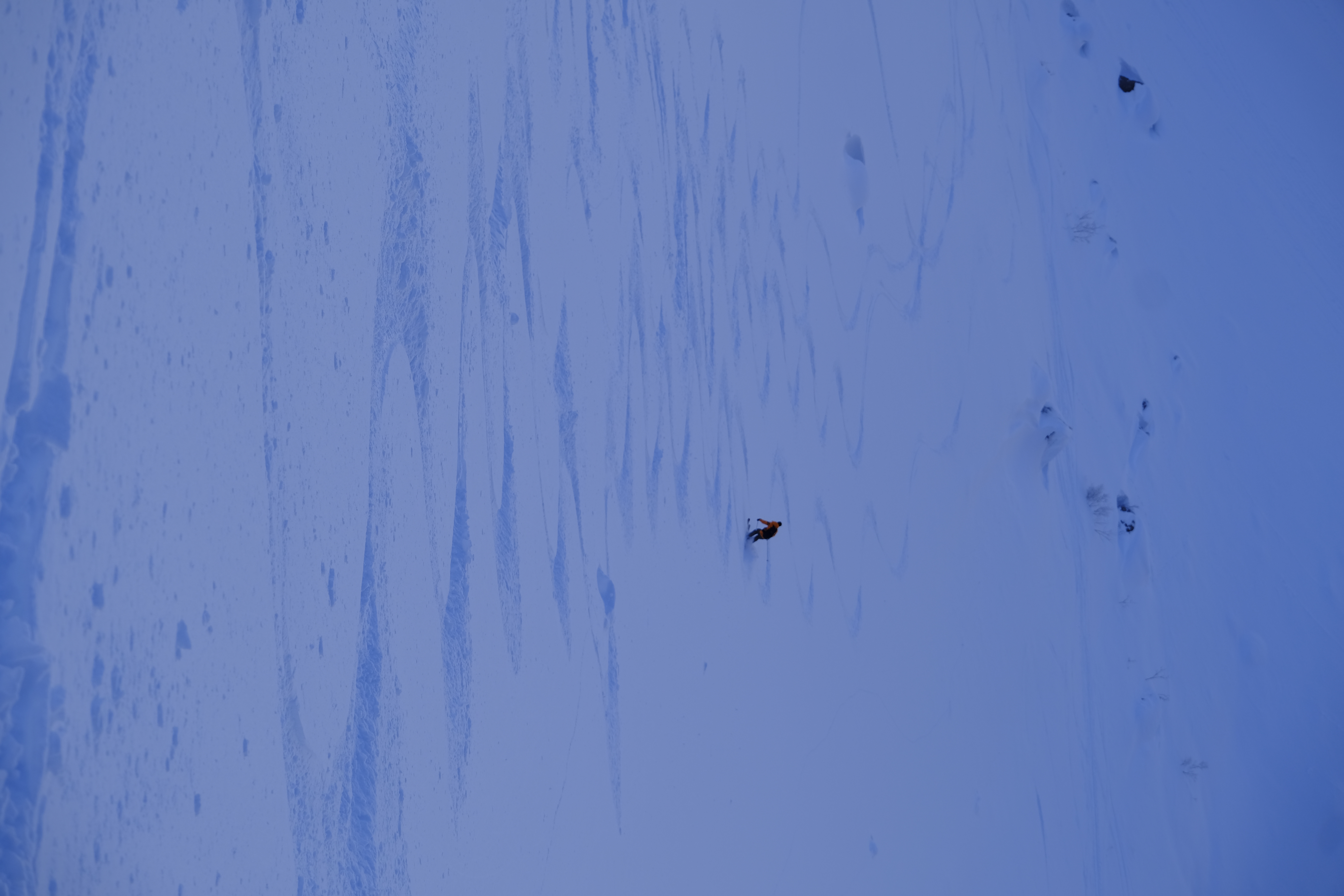 Observation photo