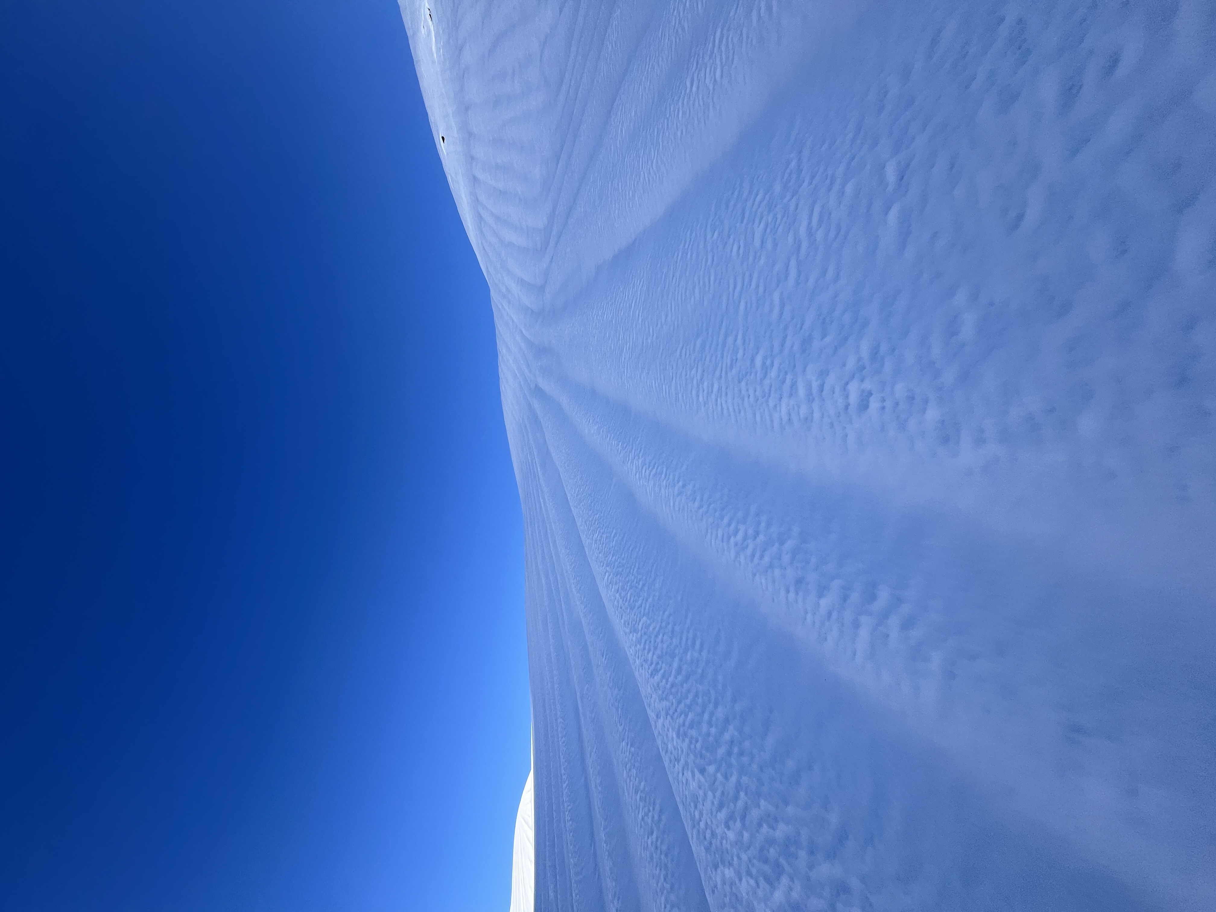 Observation photo