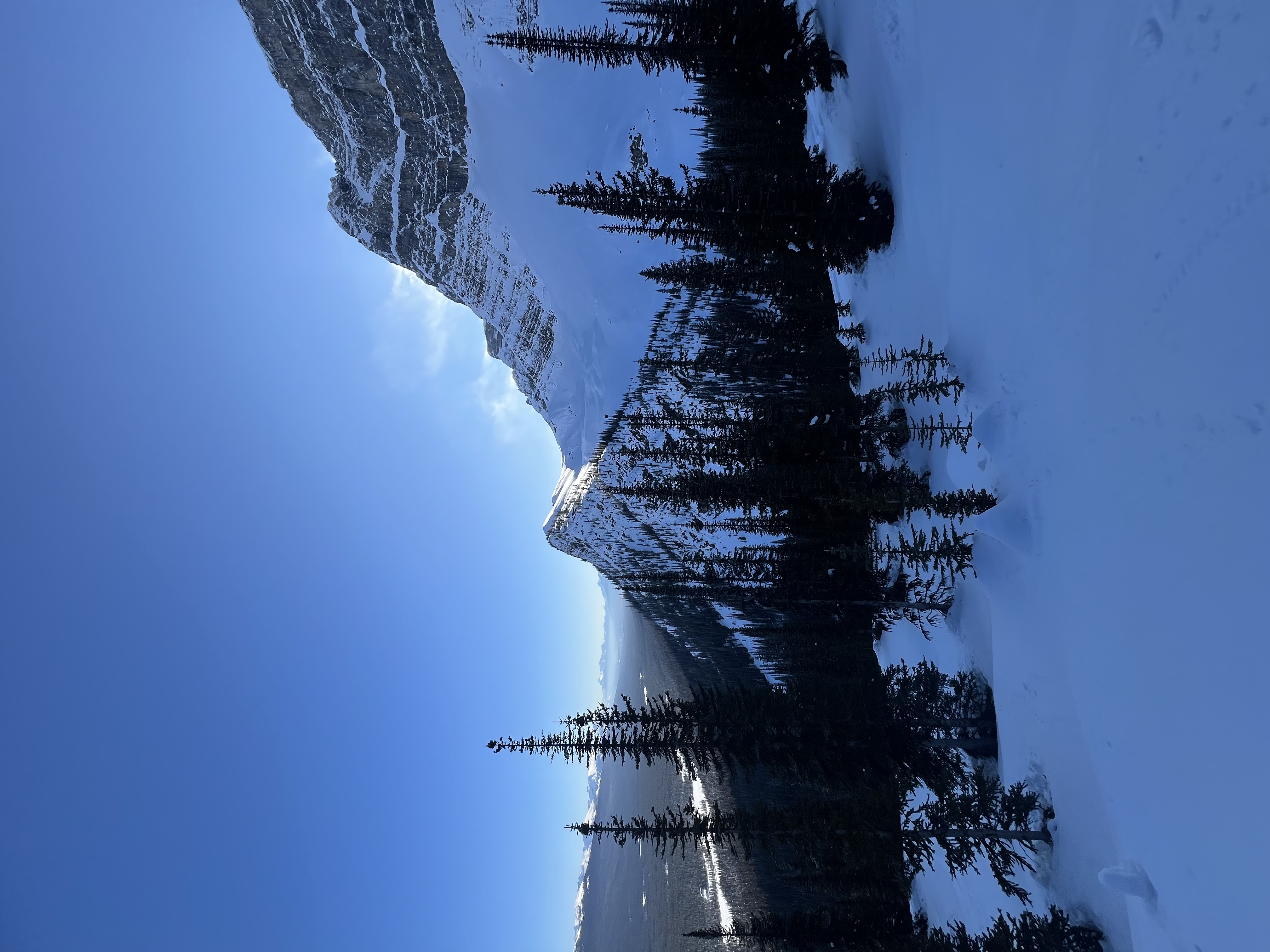 Observation photo