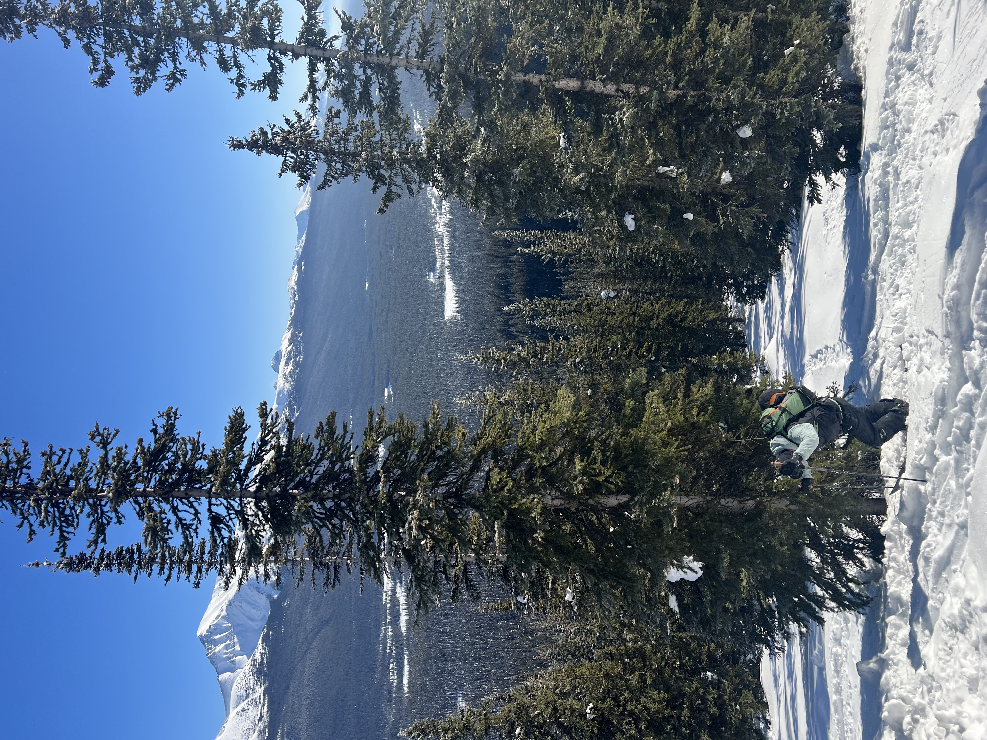 Observation photo