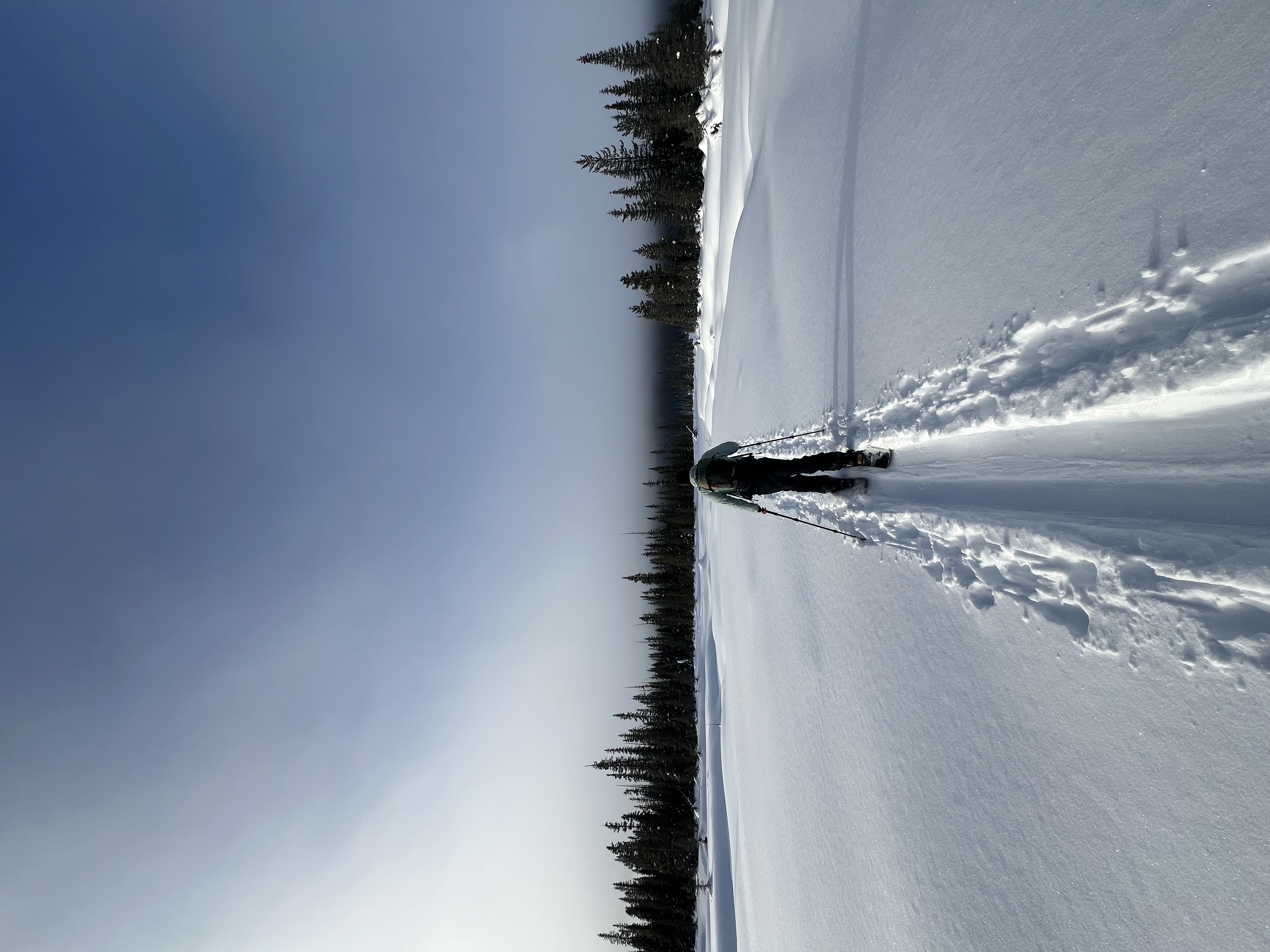 Observation photo