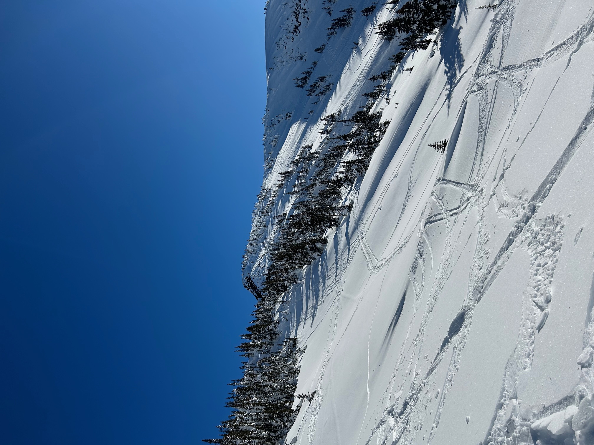 Observation photo