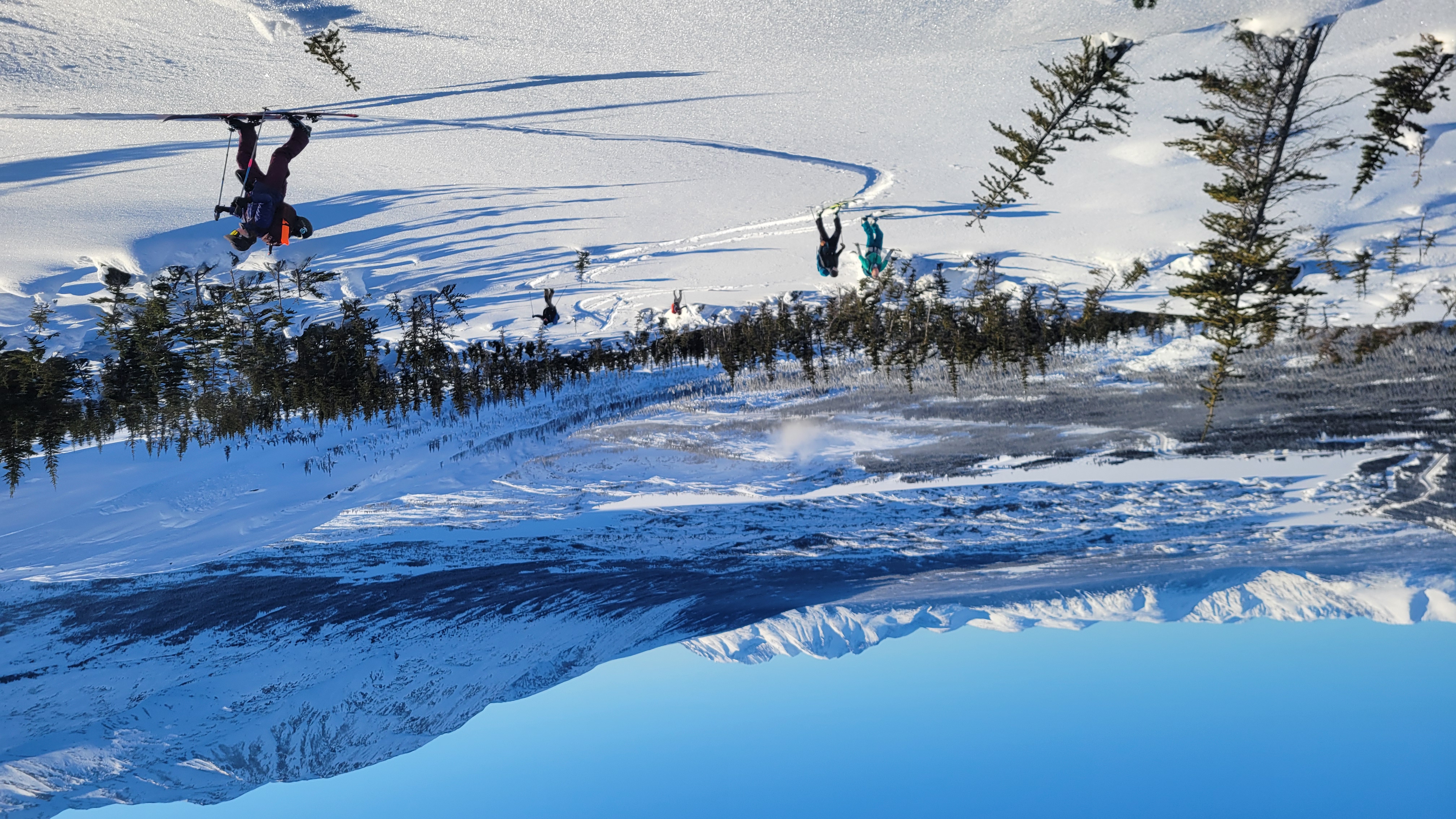 Observation photo