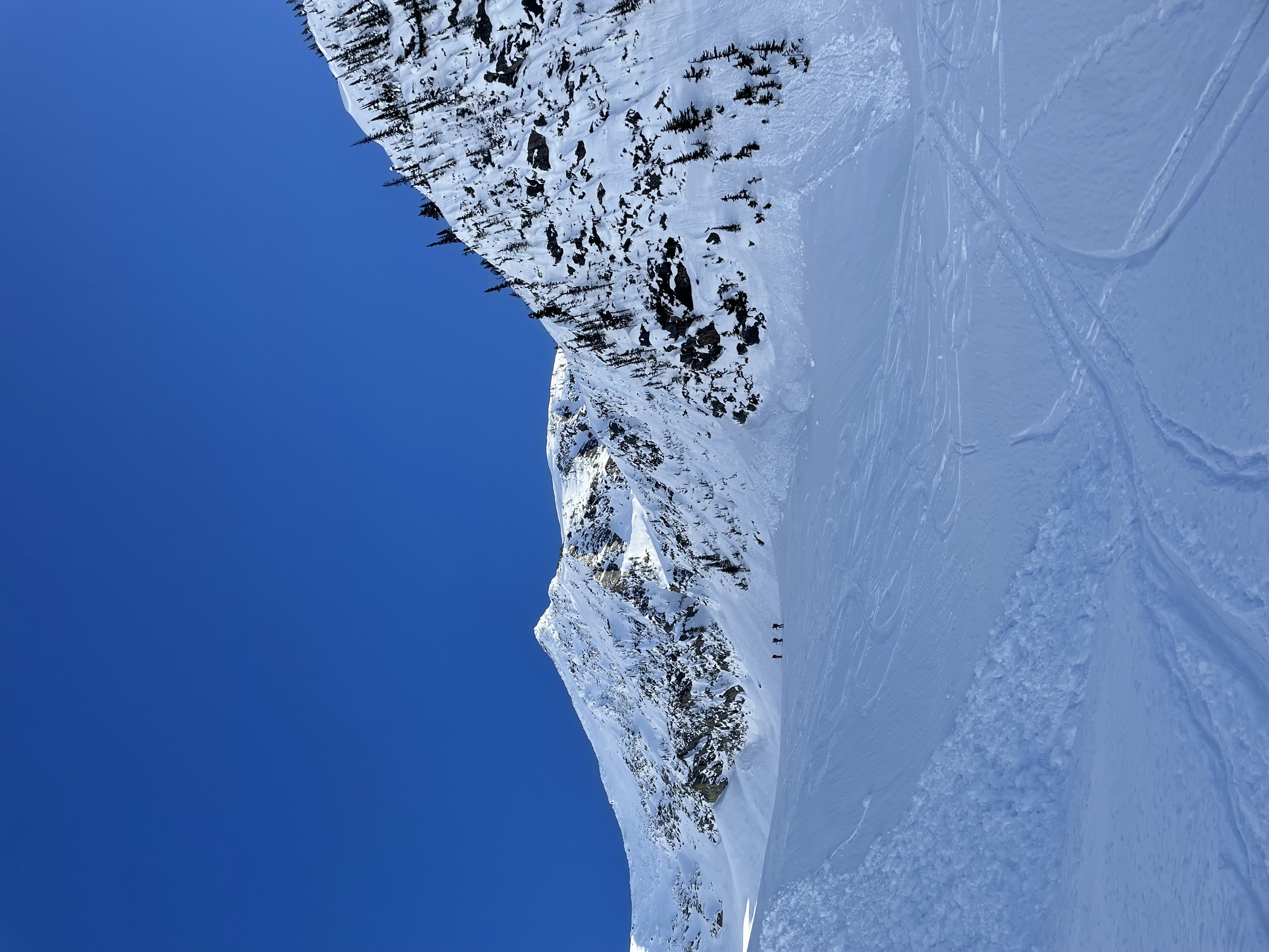 Observation photo