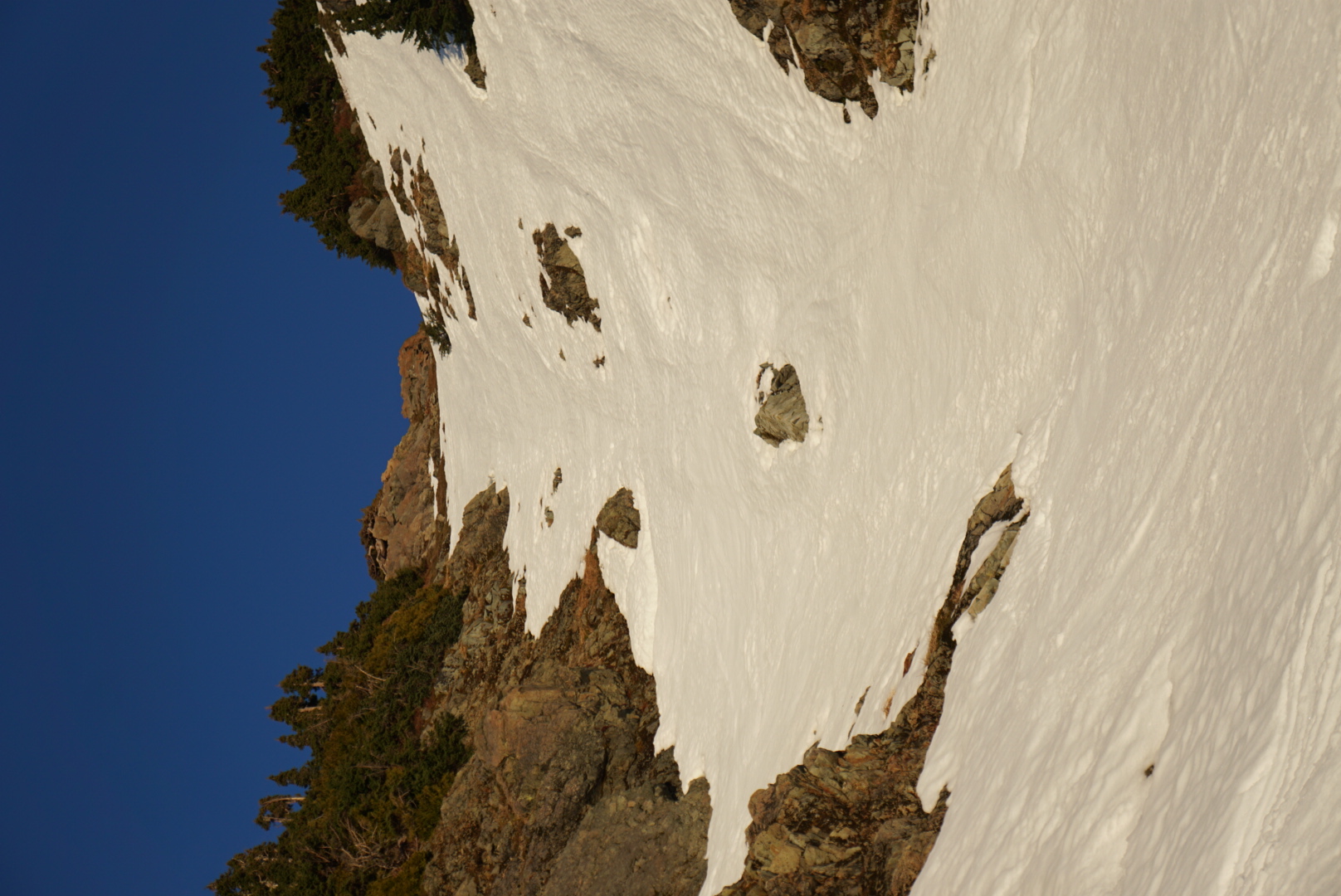 Observation photo