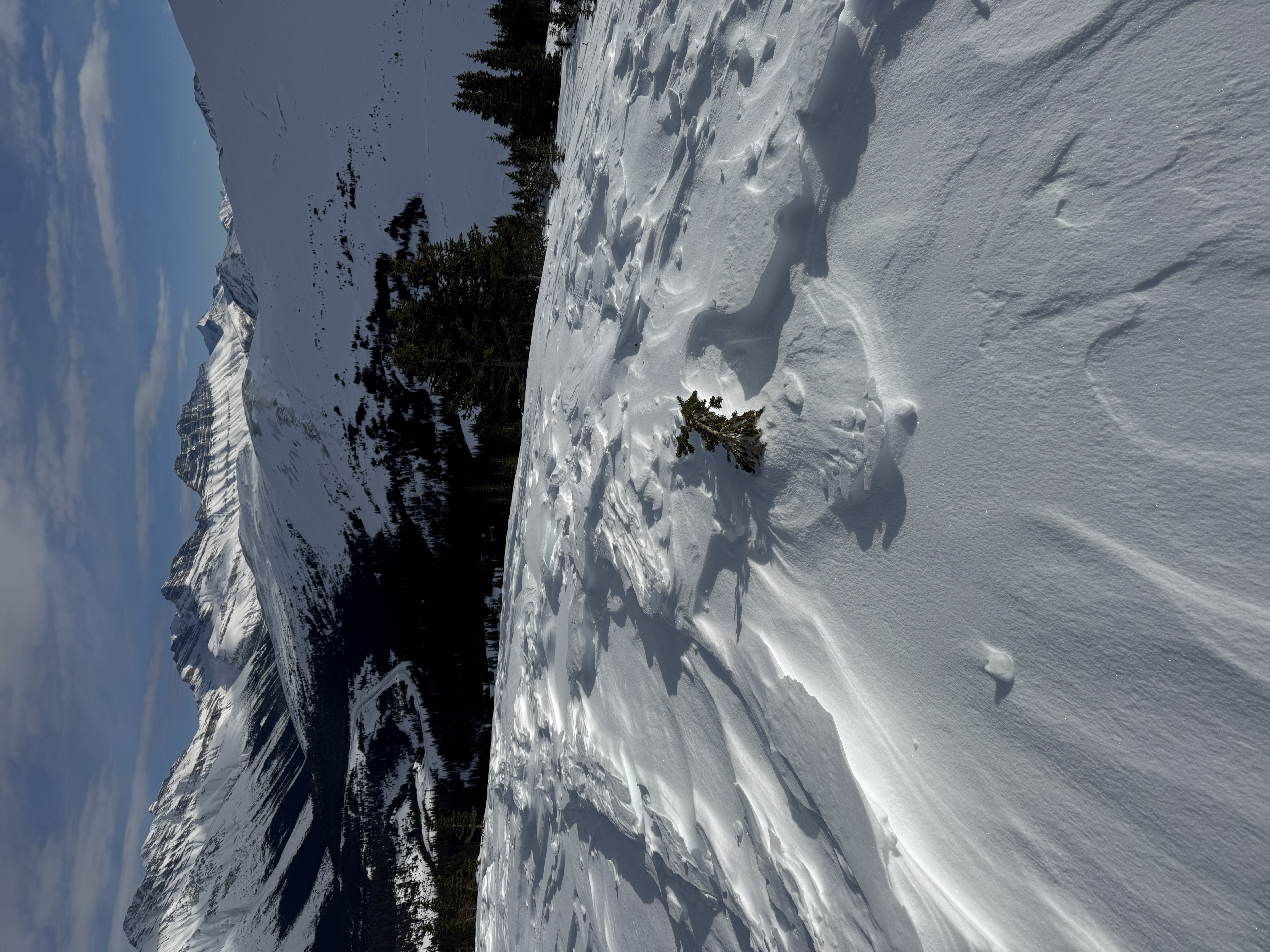 Observation photo