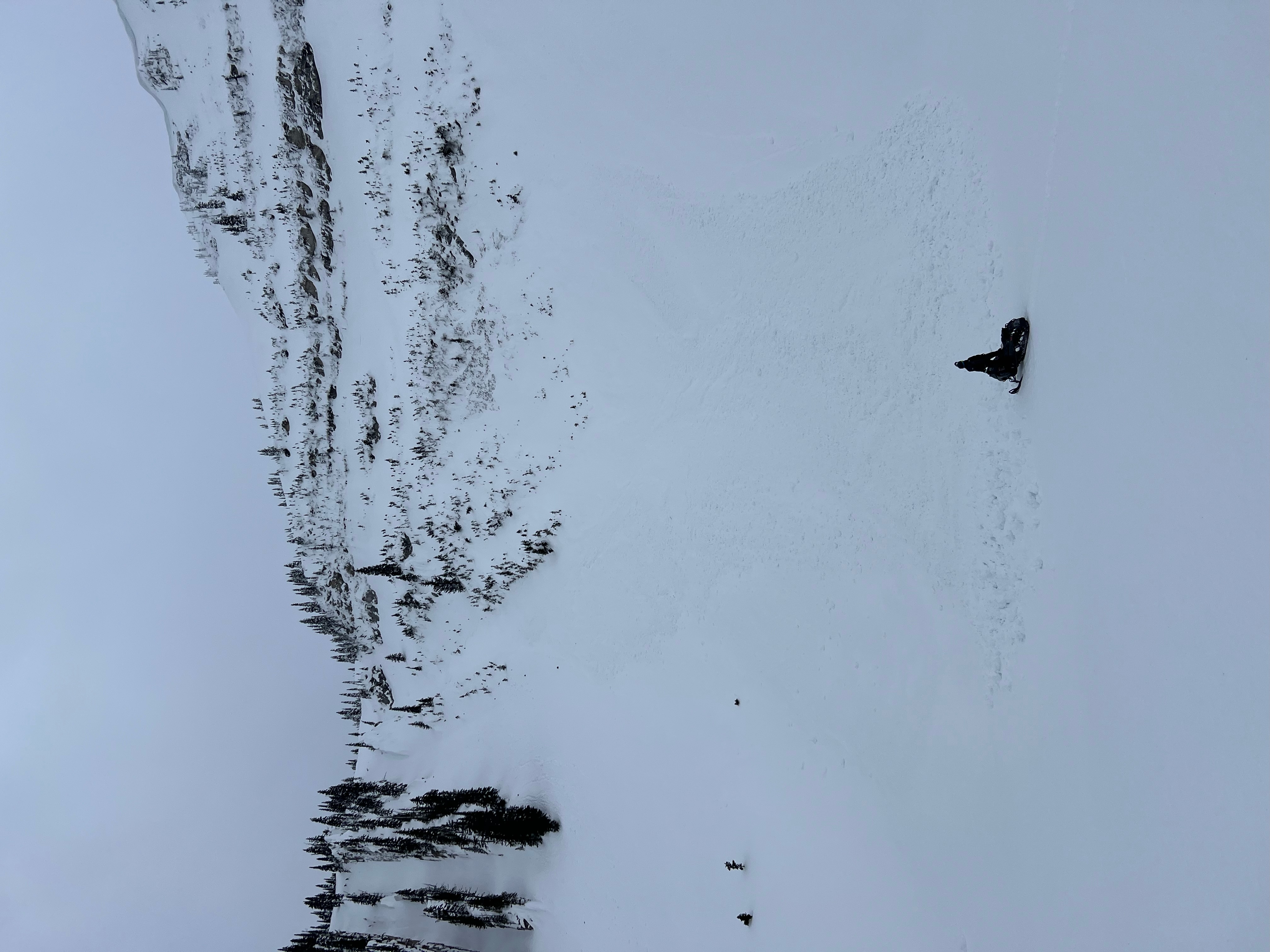 Observation photo