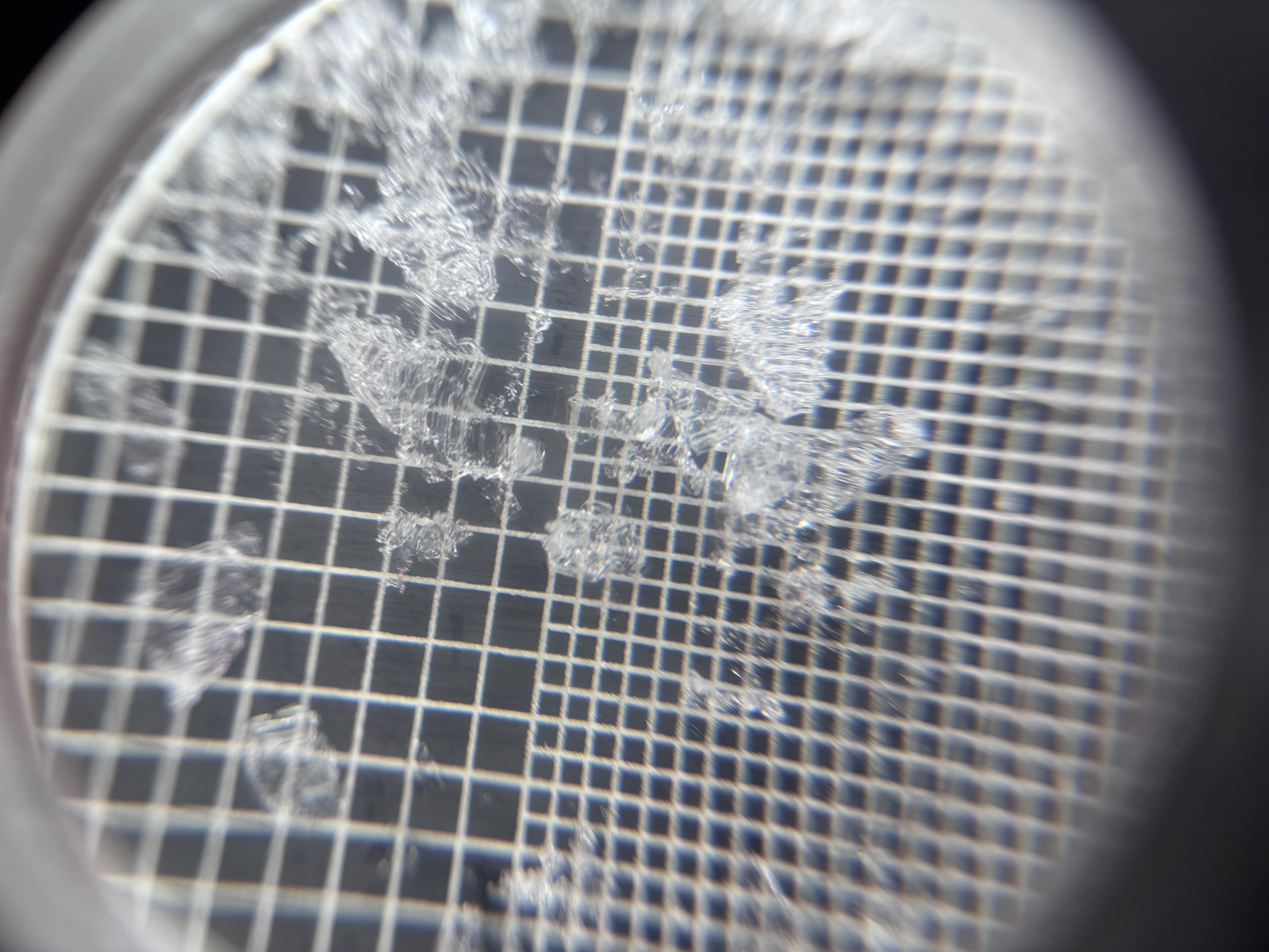 Observation photo