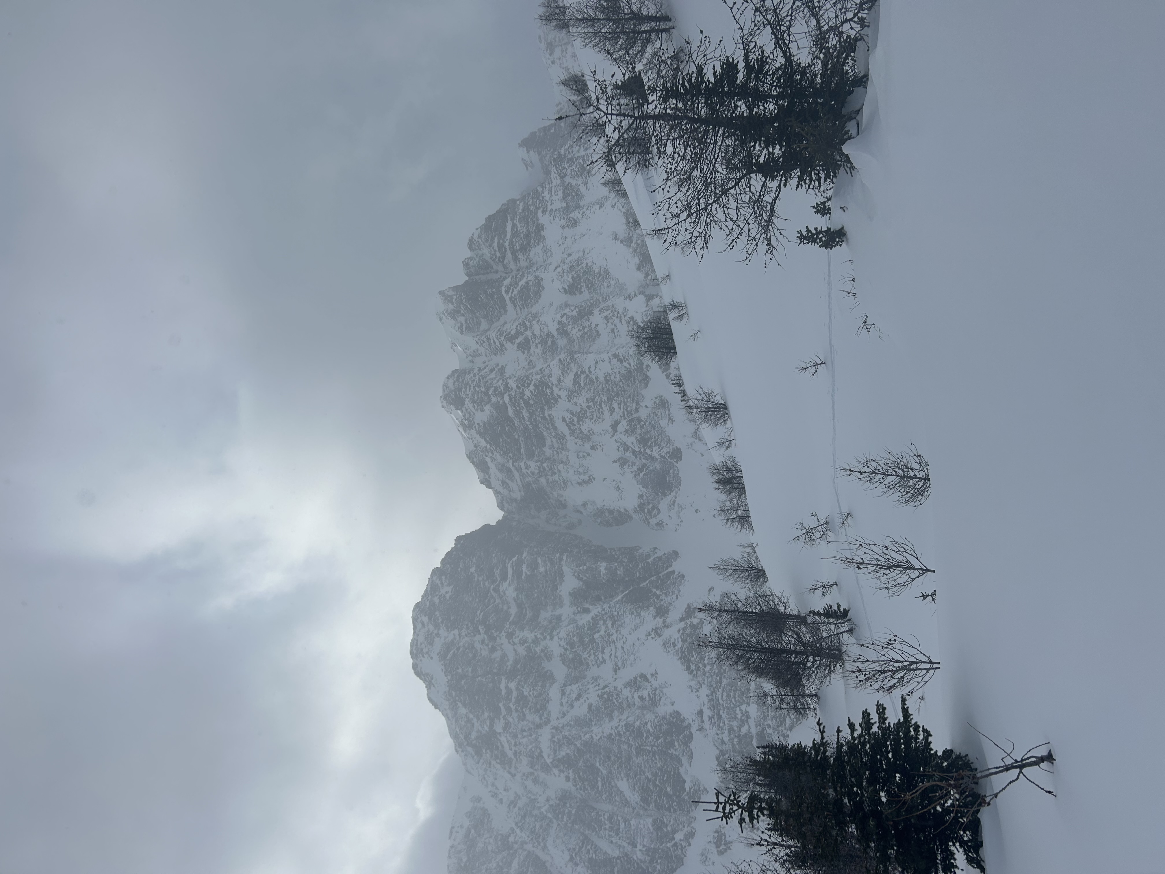 Observation photo