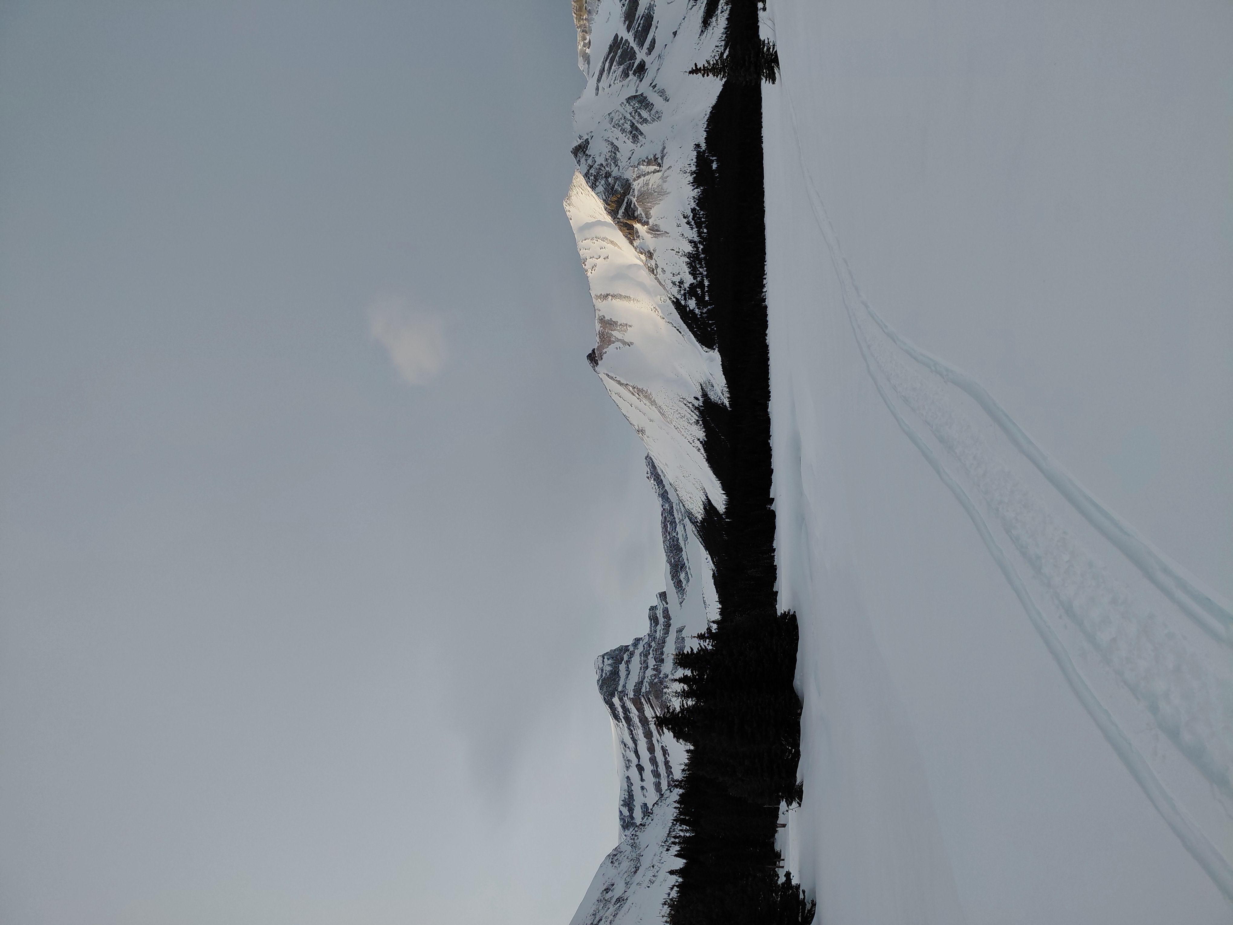 Observation photo