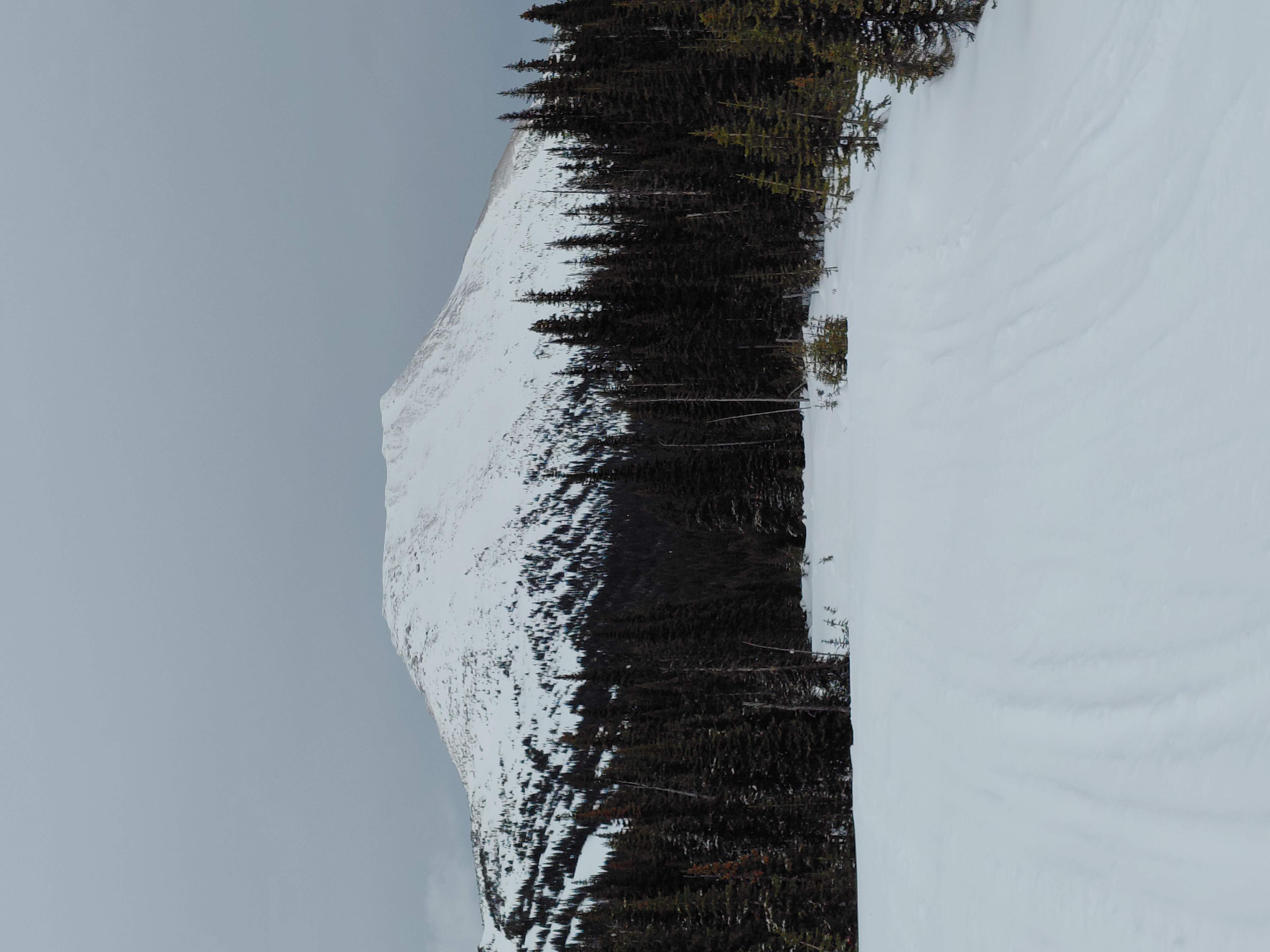 Observation photo