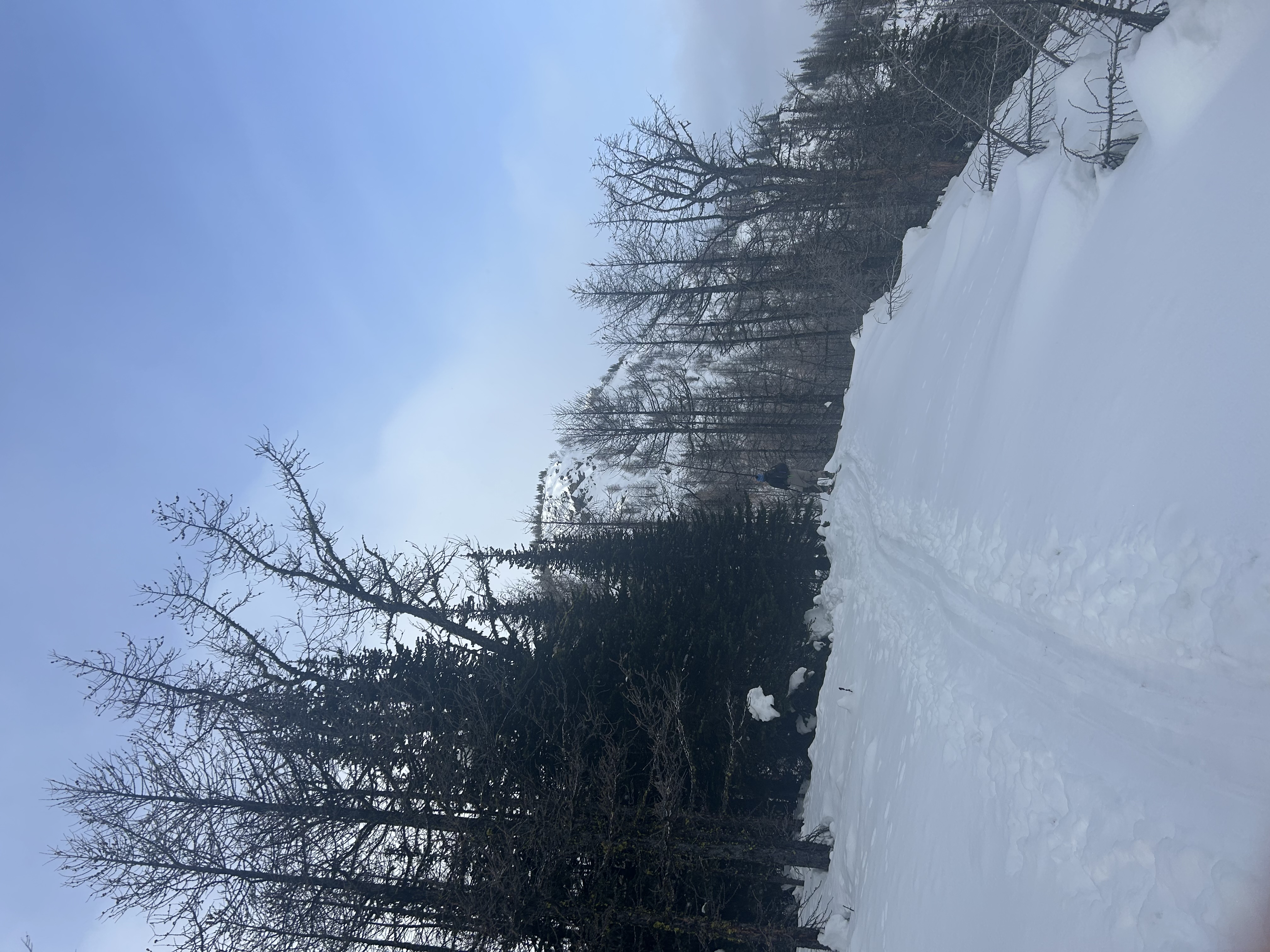 Observation photo