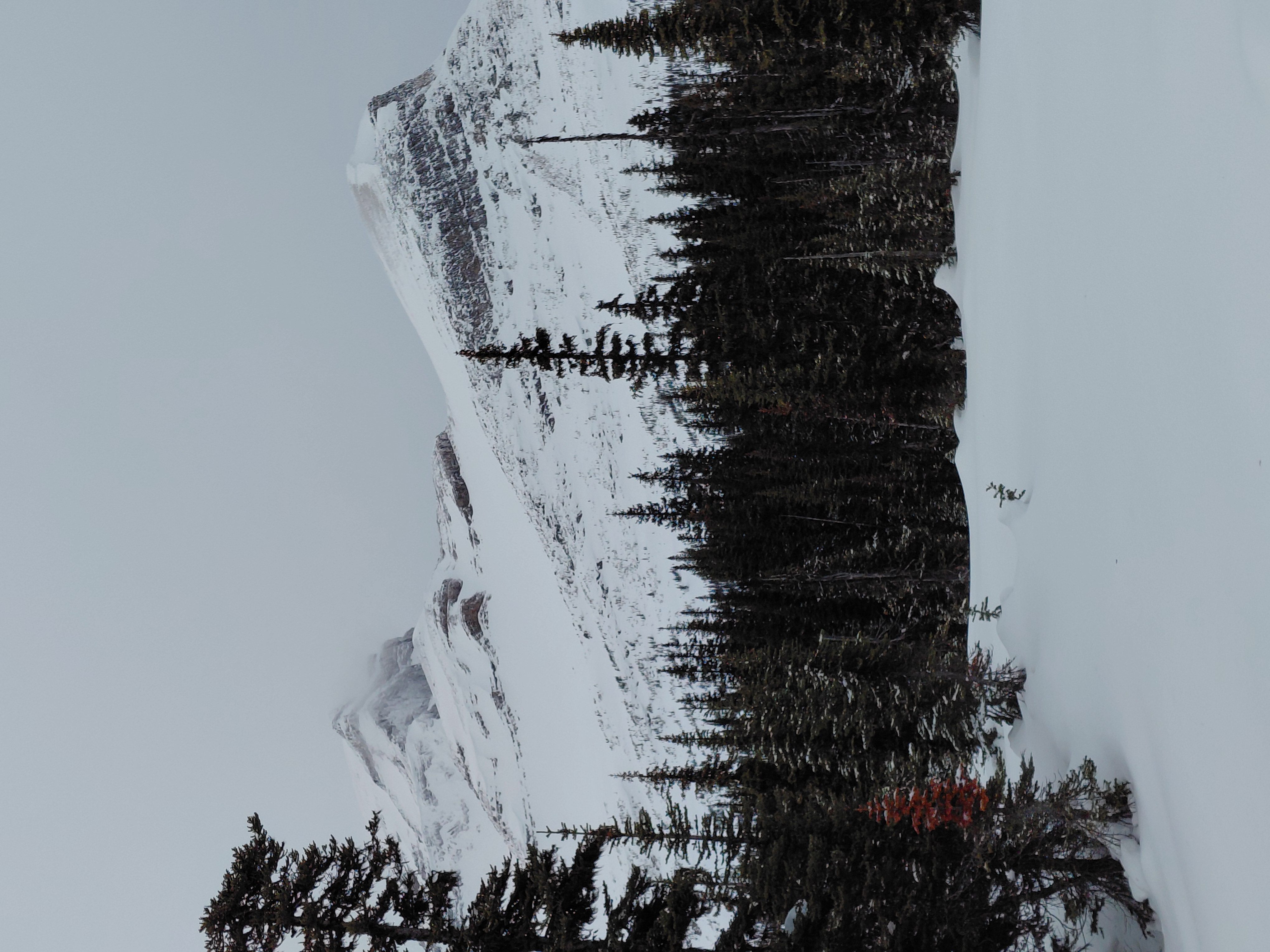 Observation photo