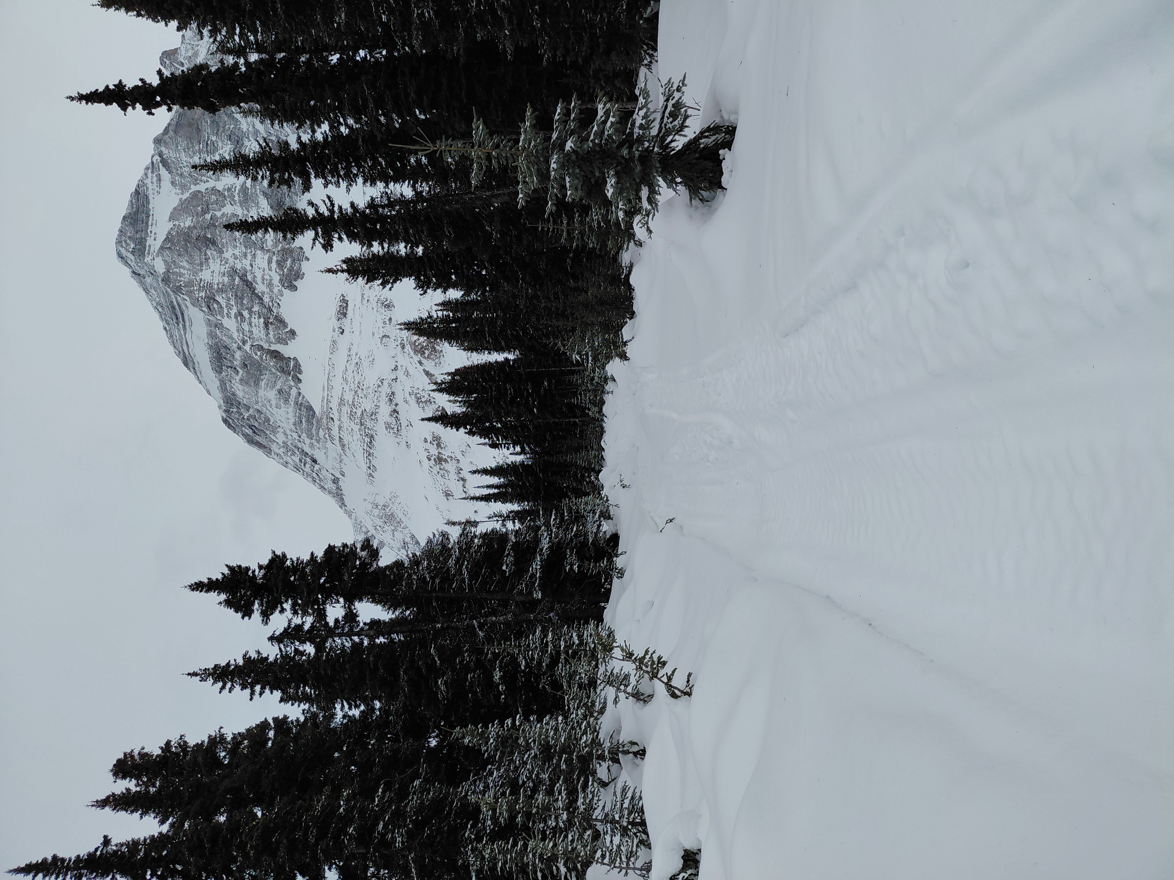 Observation photo
