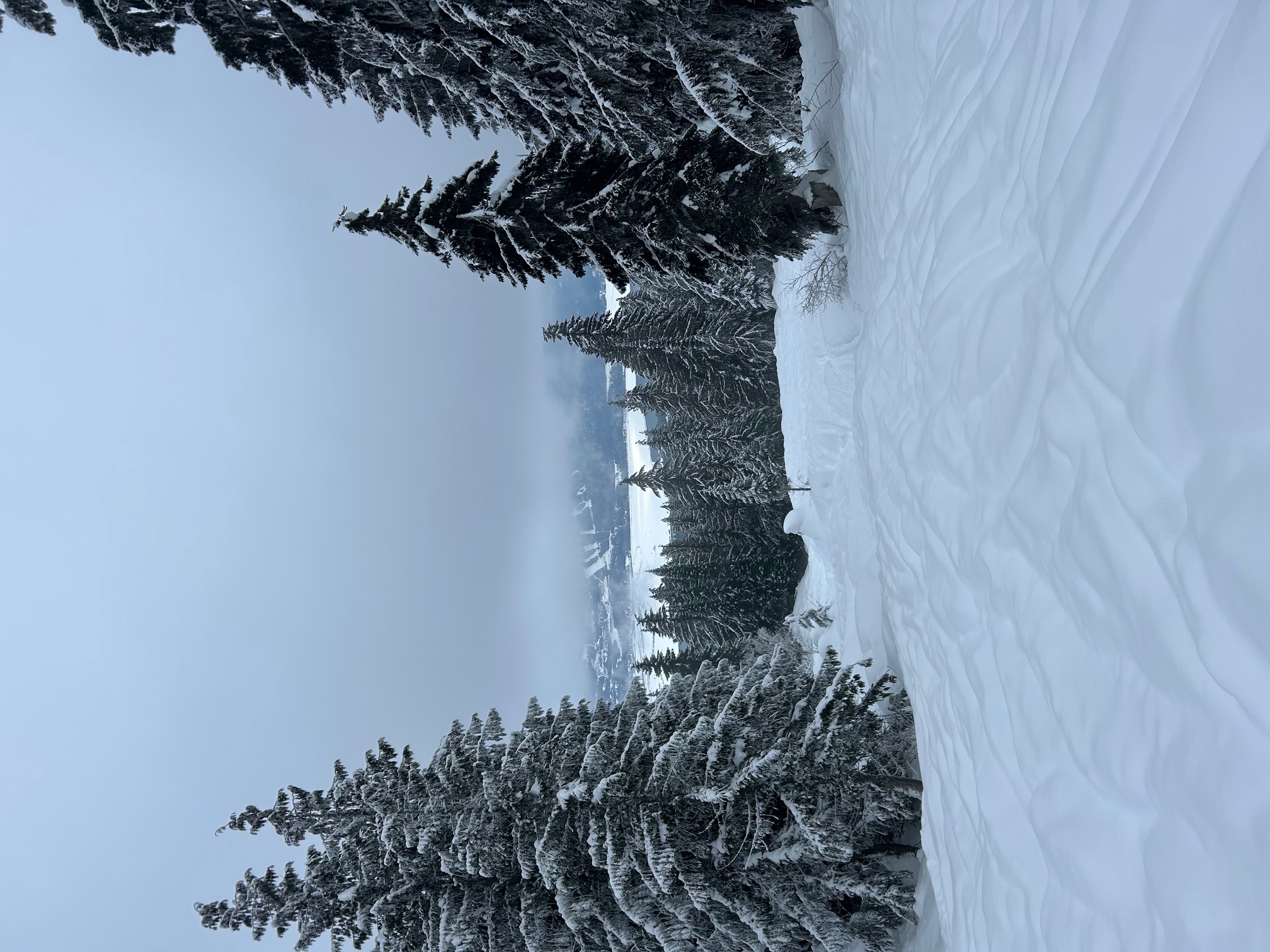 Observation photo