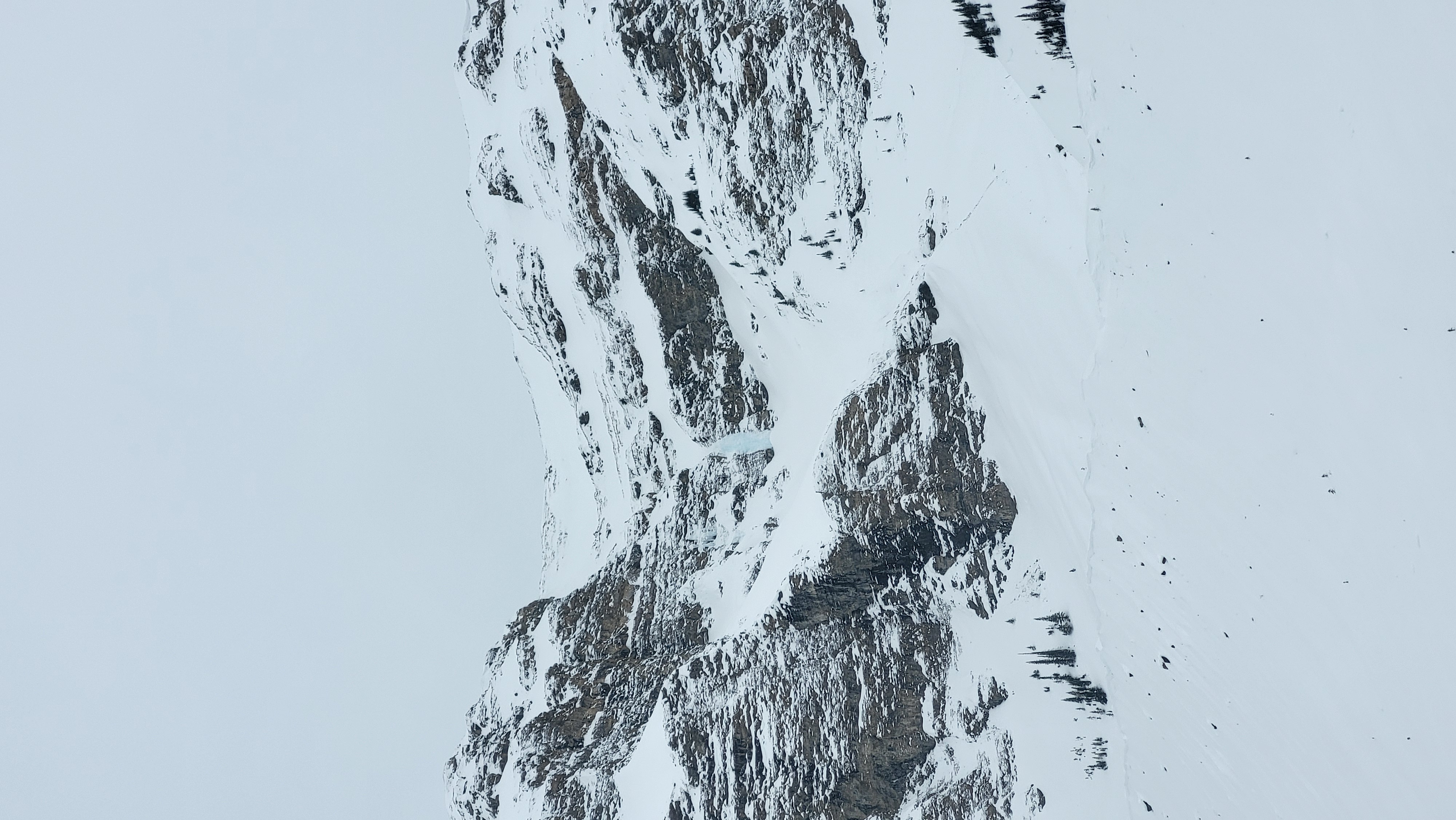 Observation photo