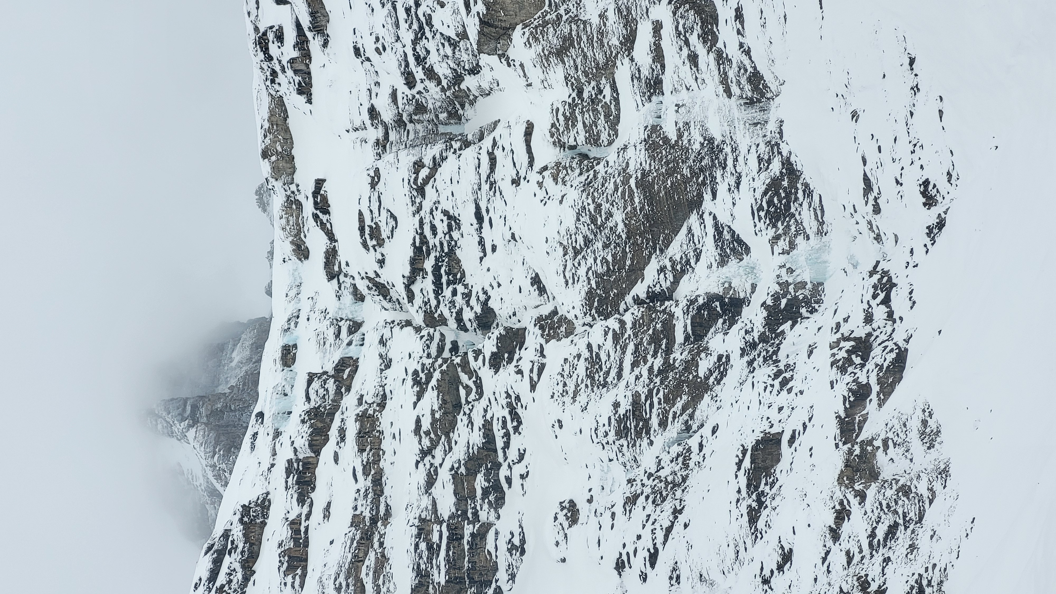 Observation photo