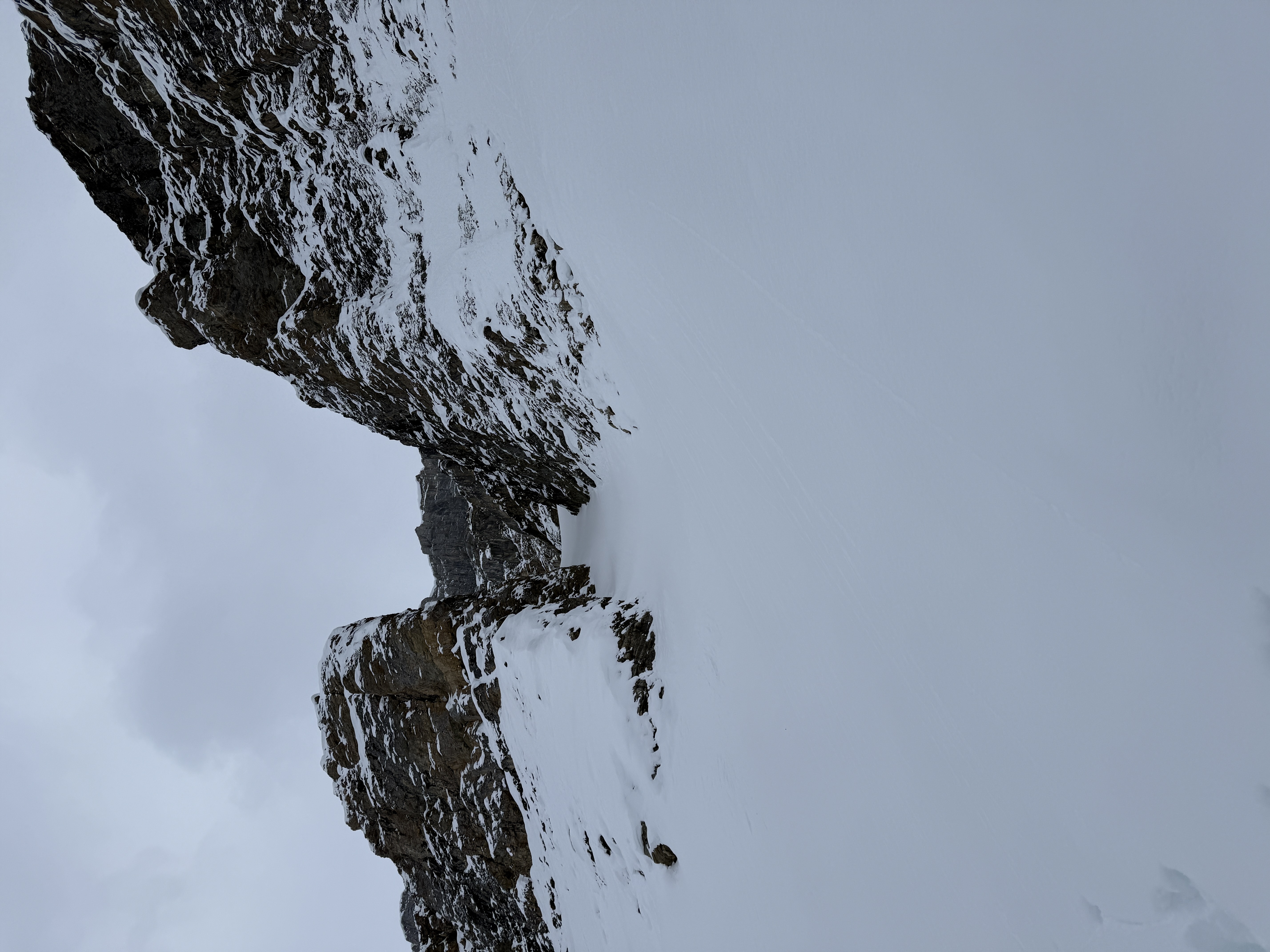Observation photo