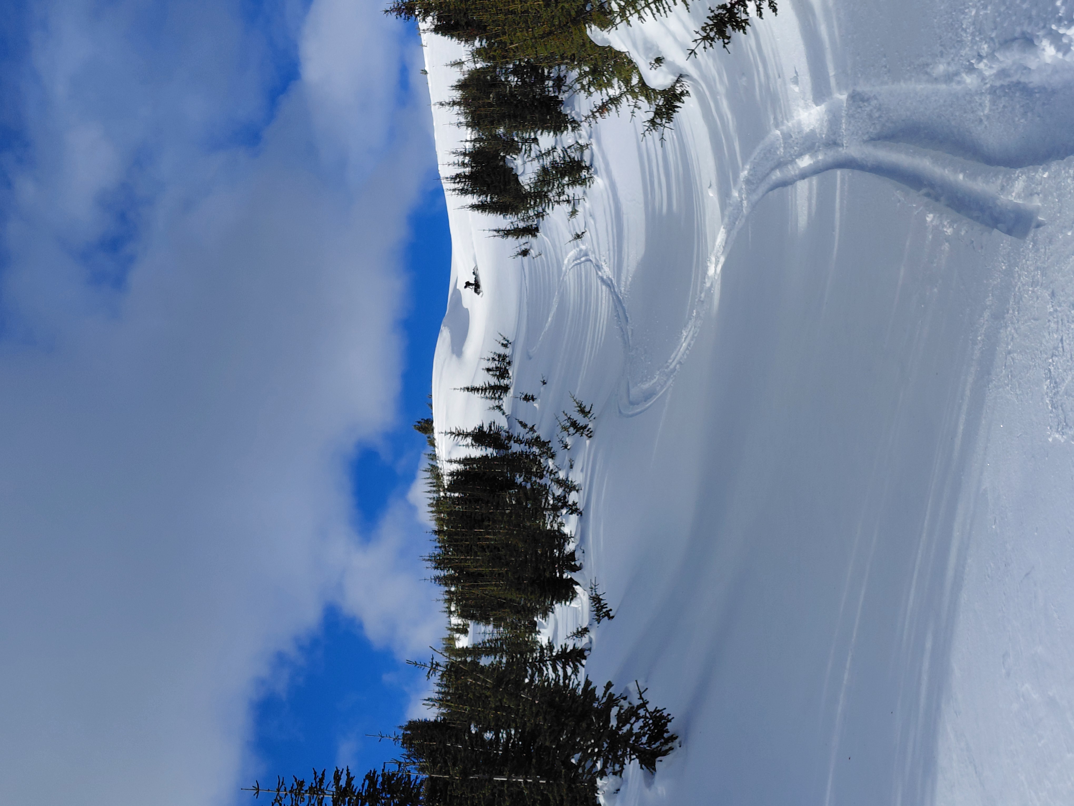 Observation photo