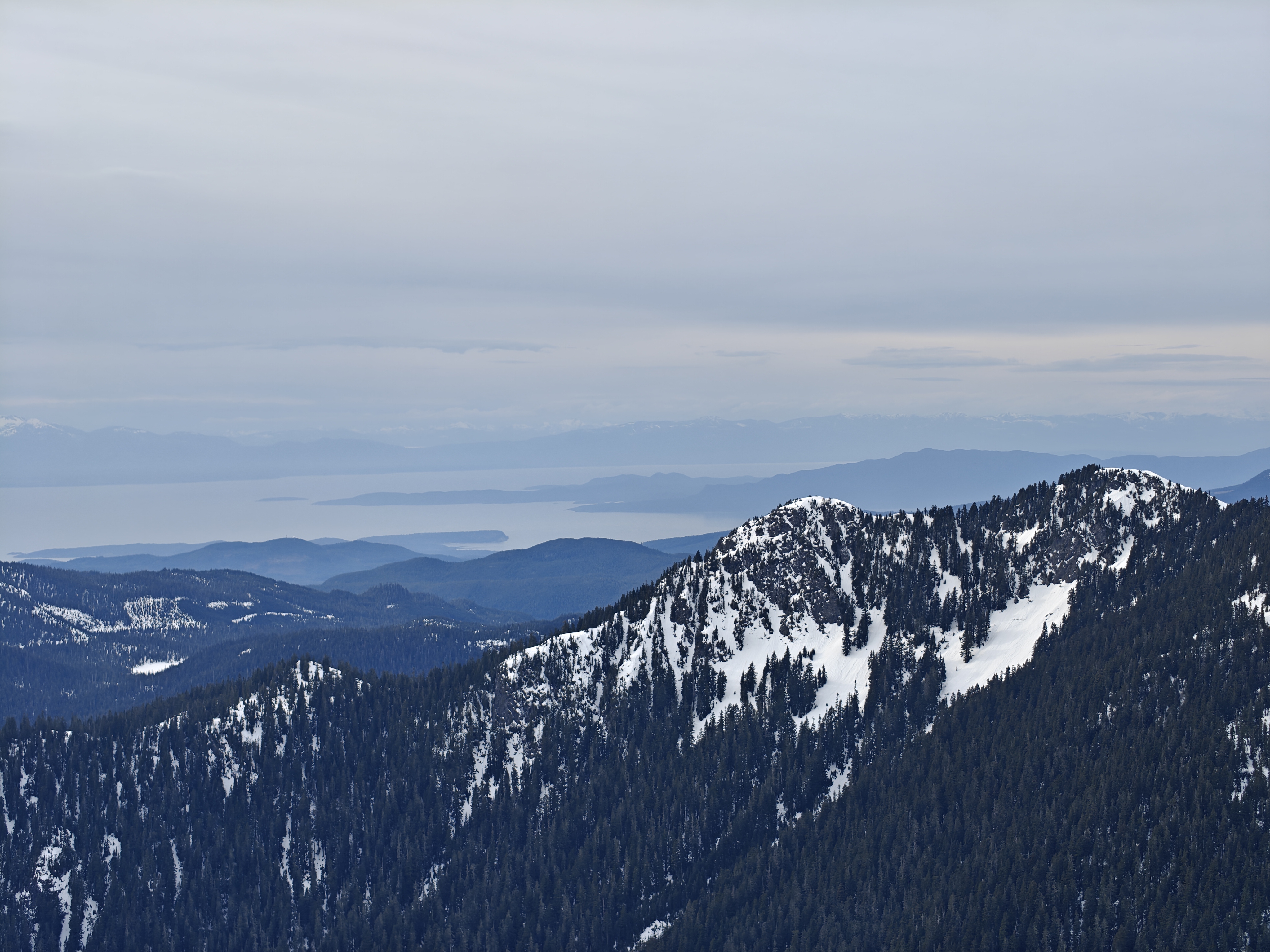 Observation photo