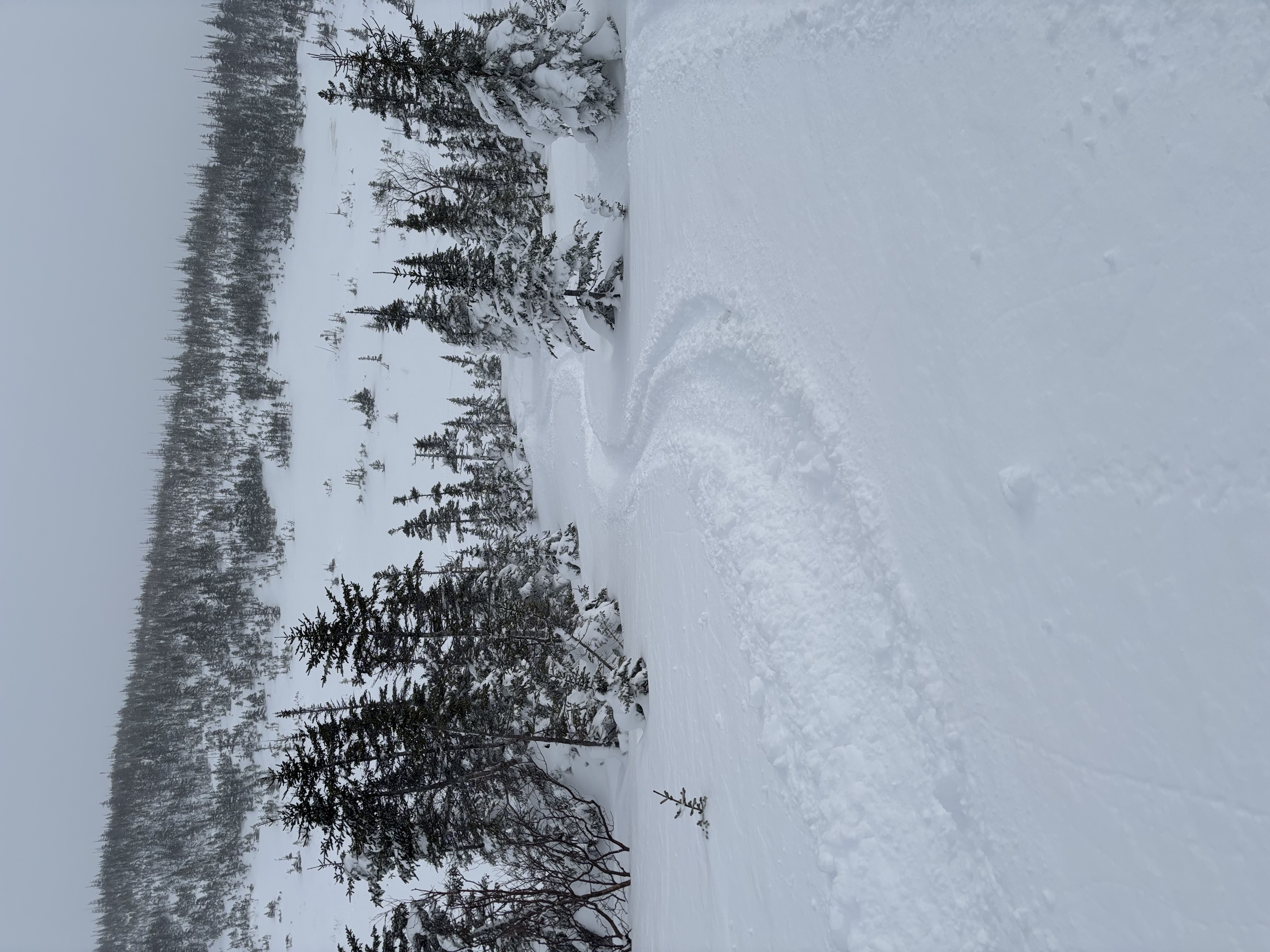 Observation photo