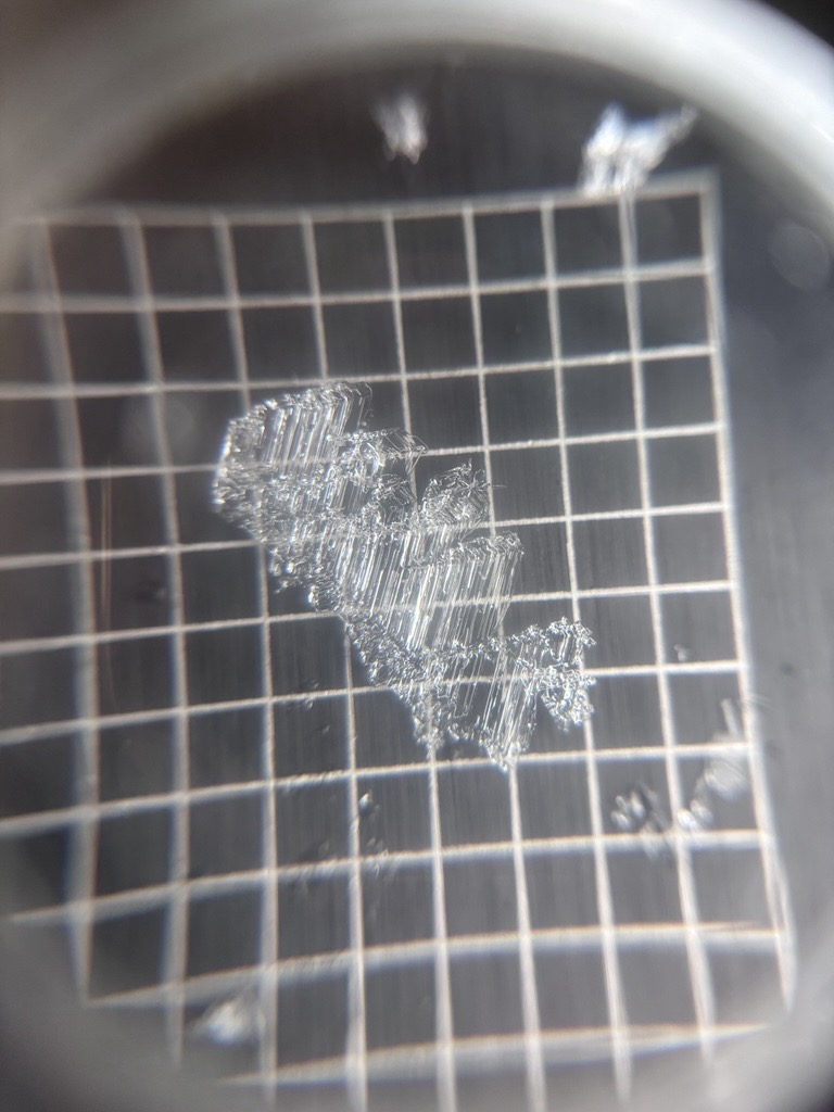 Observation photo