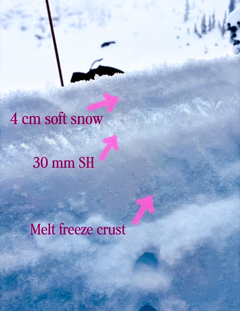 Observation photo