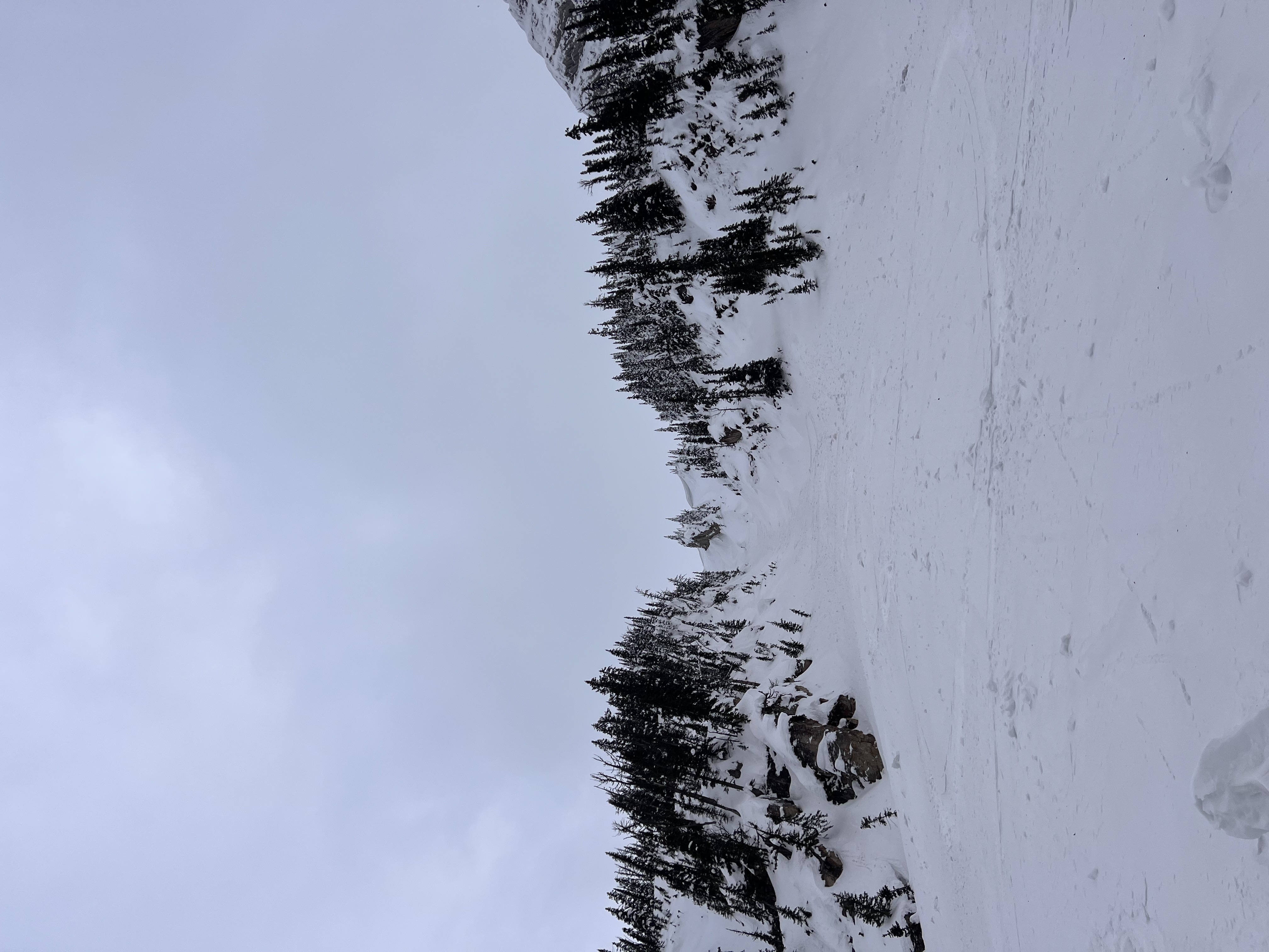Observation photo