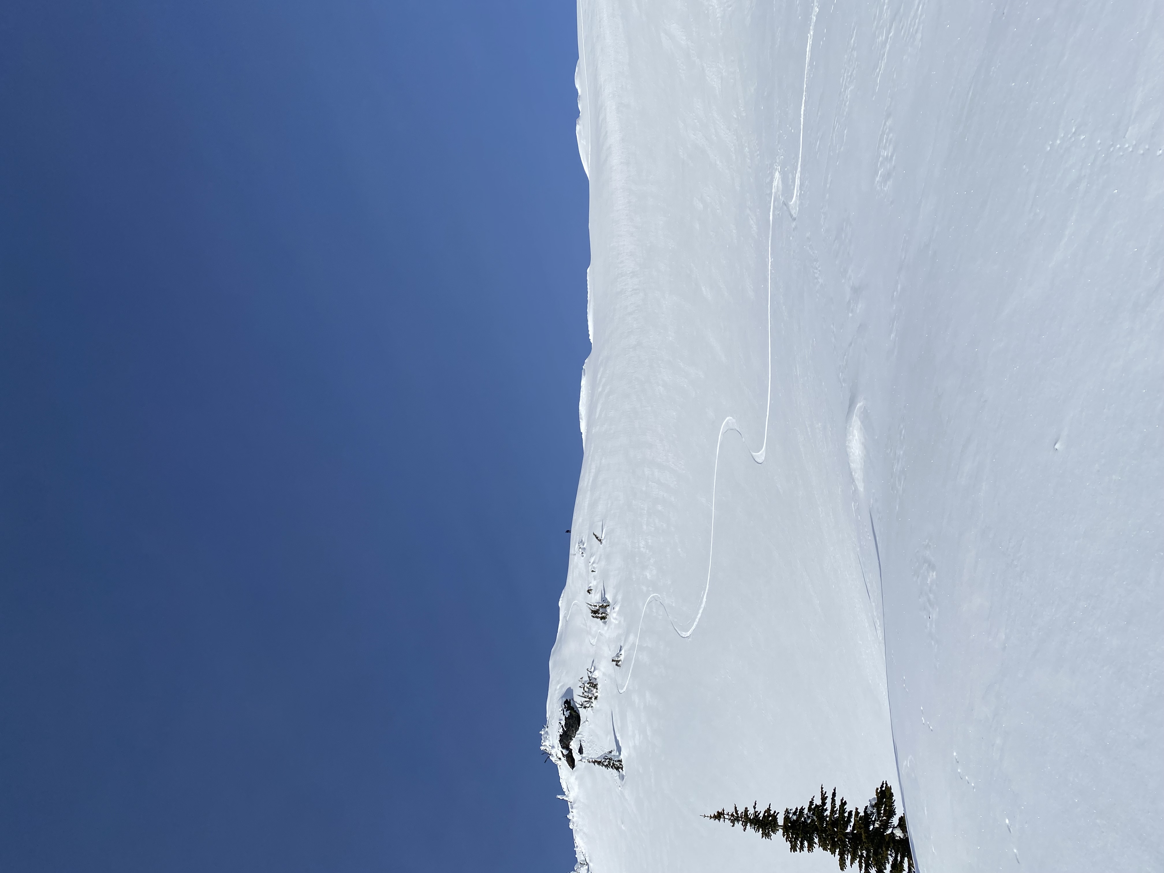 Observation photo