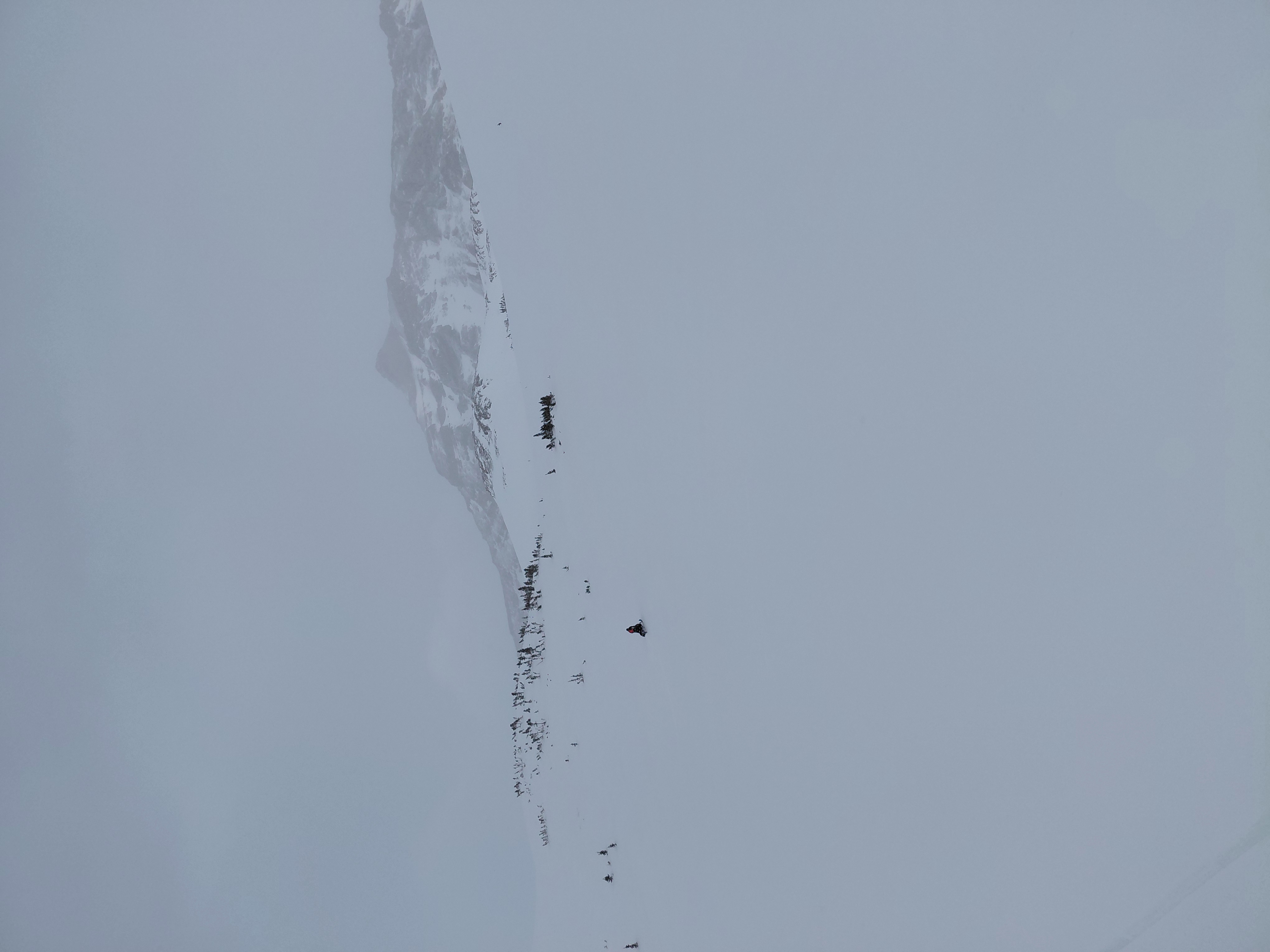 Observation photo