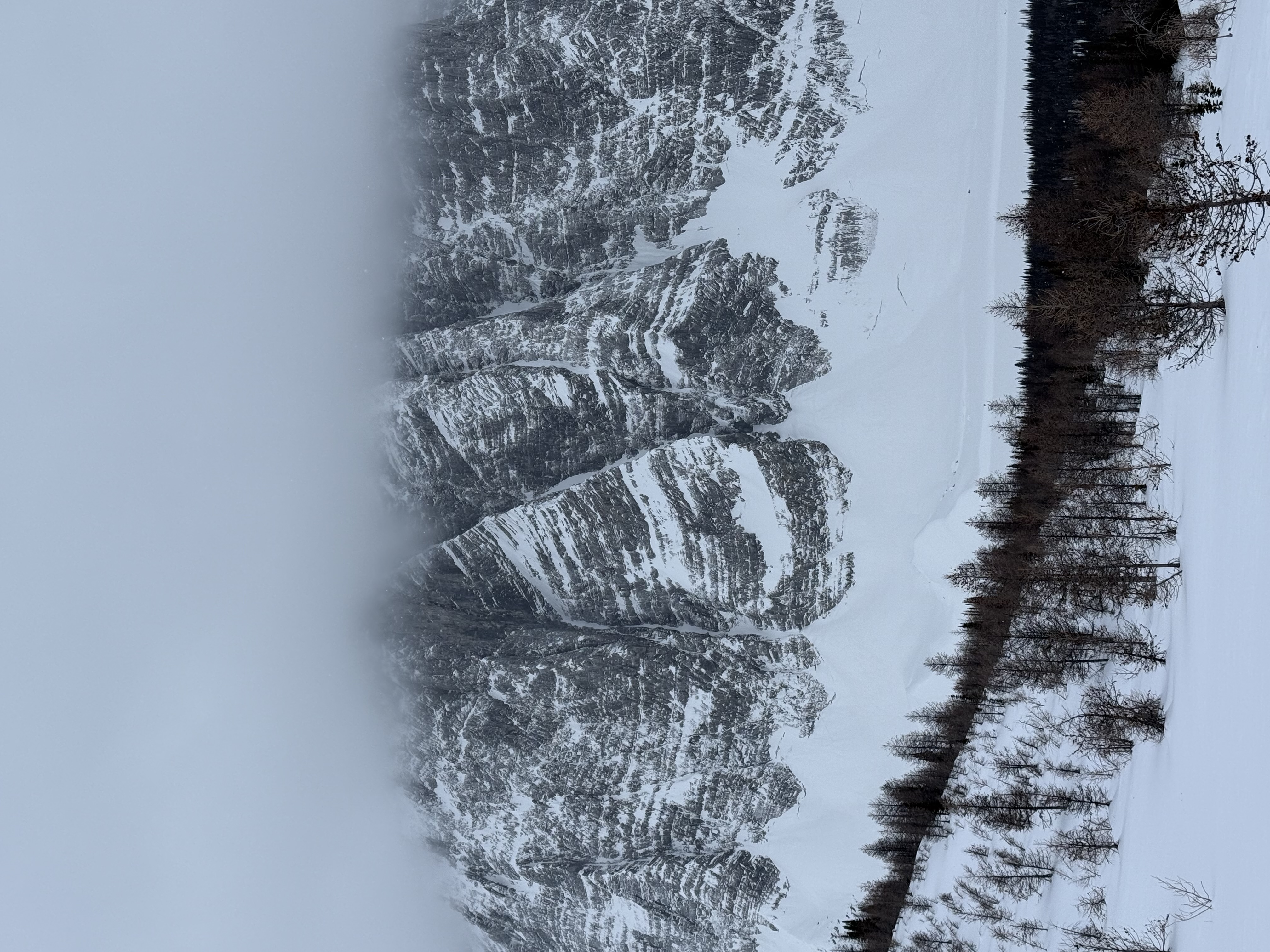 Observation photo