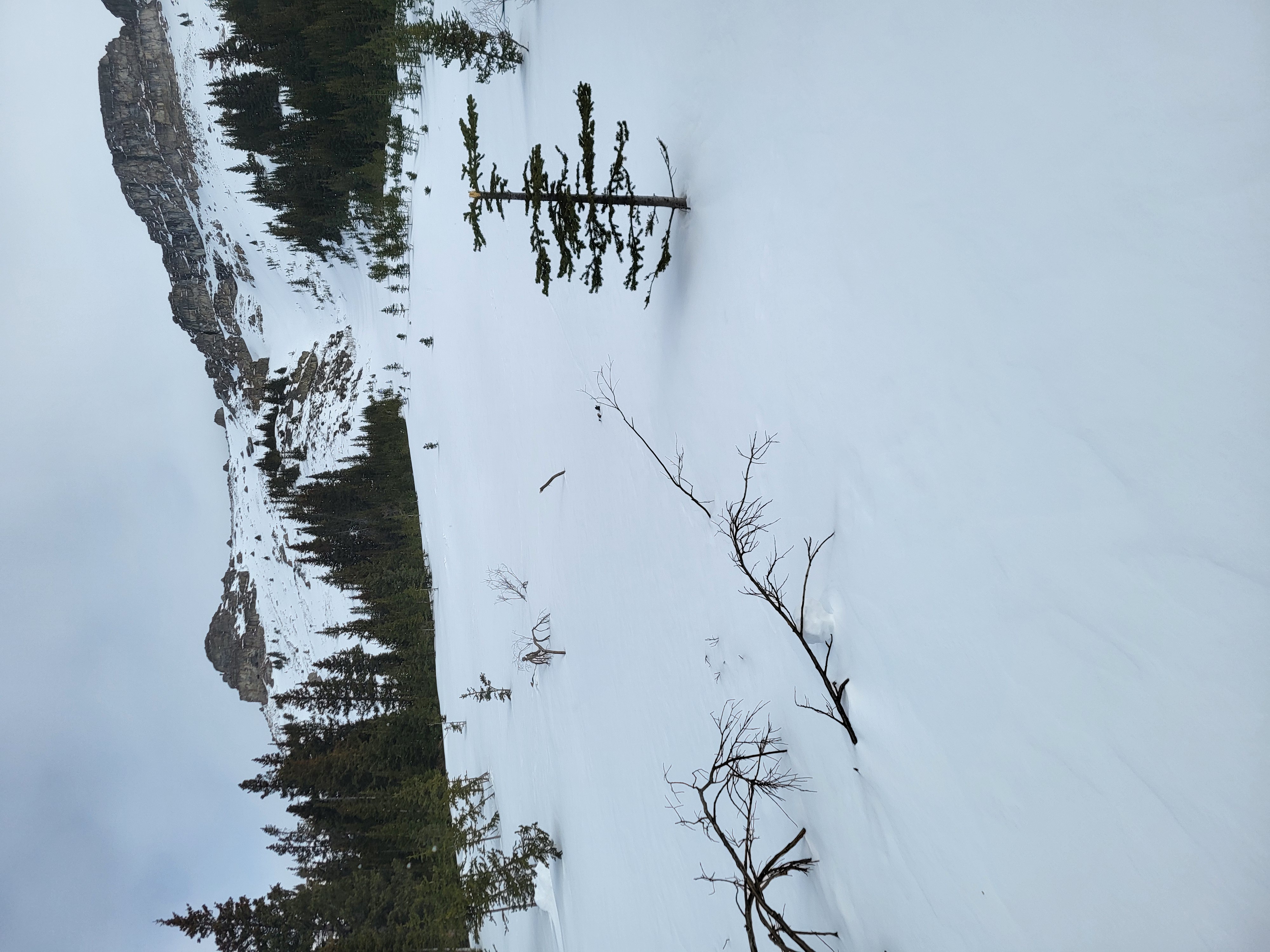 Observation photo