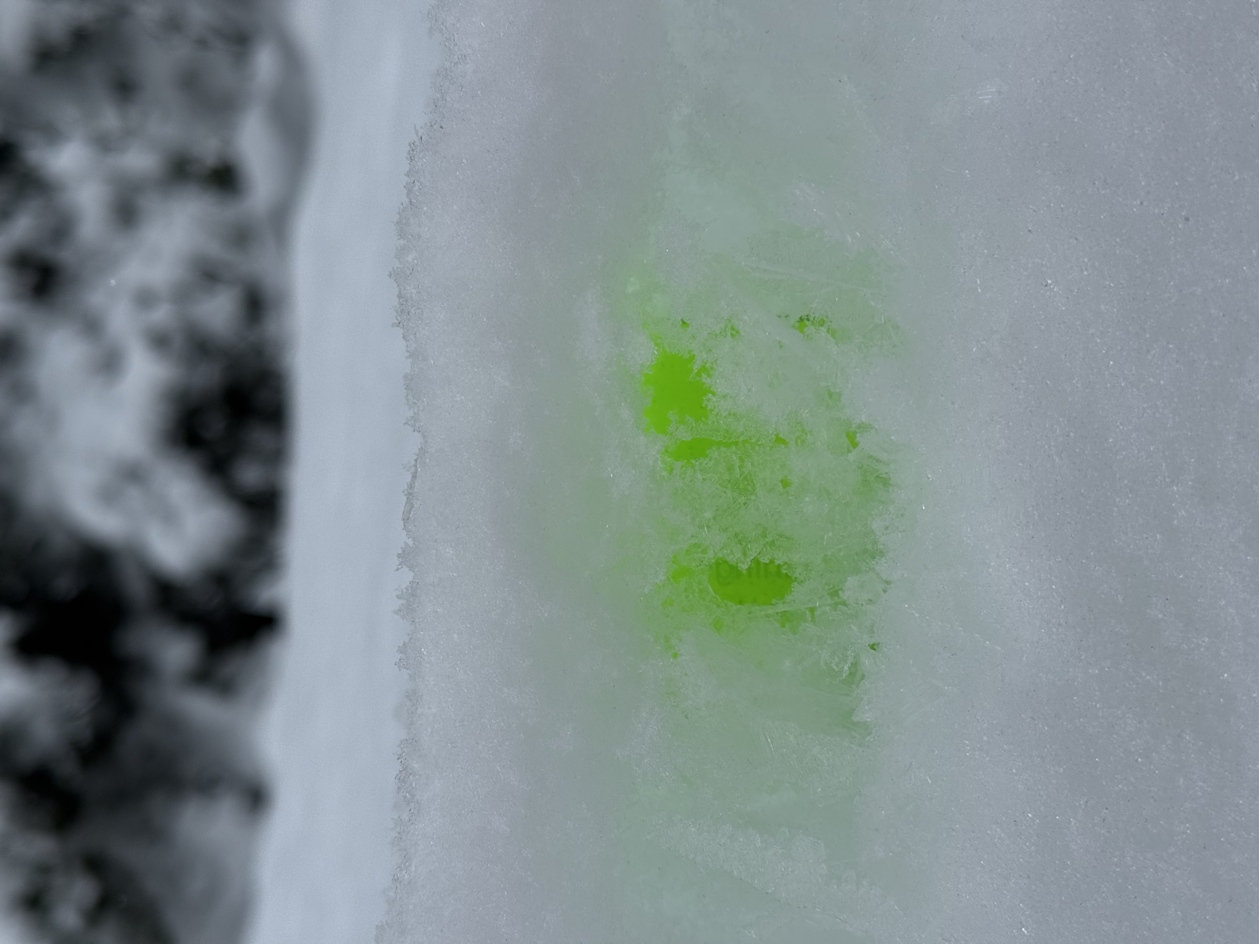 Observation photo