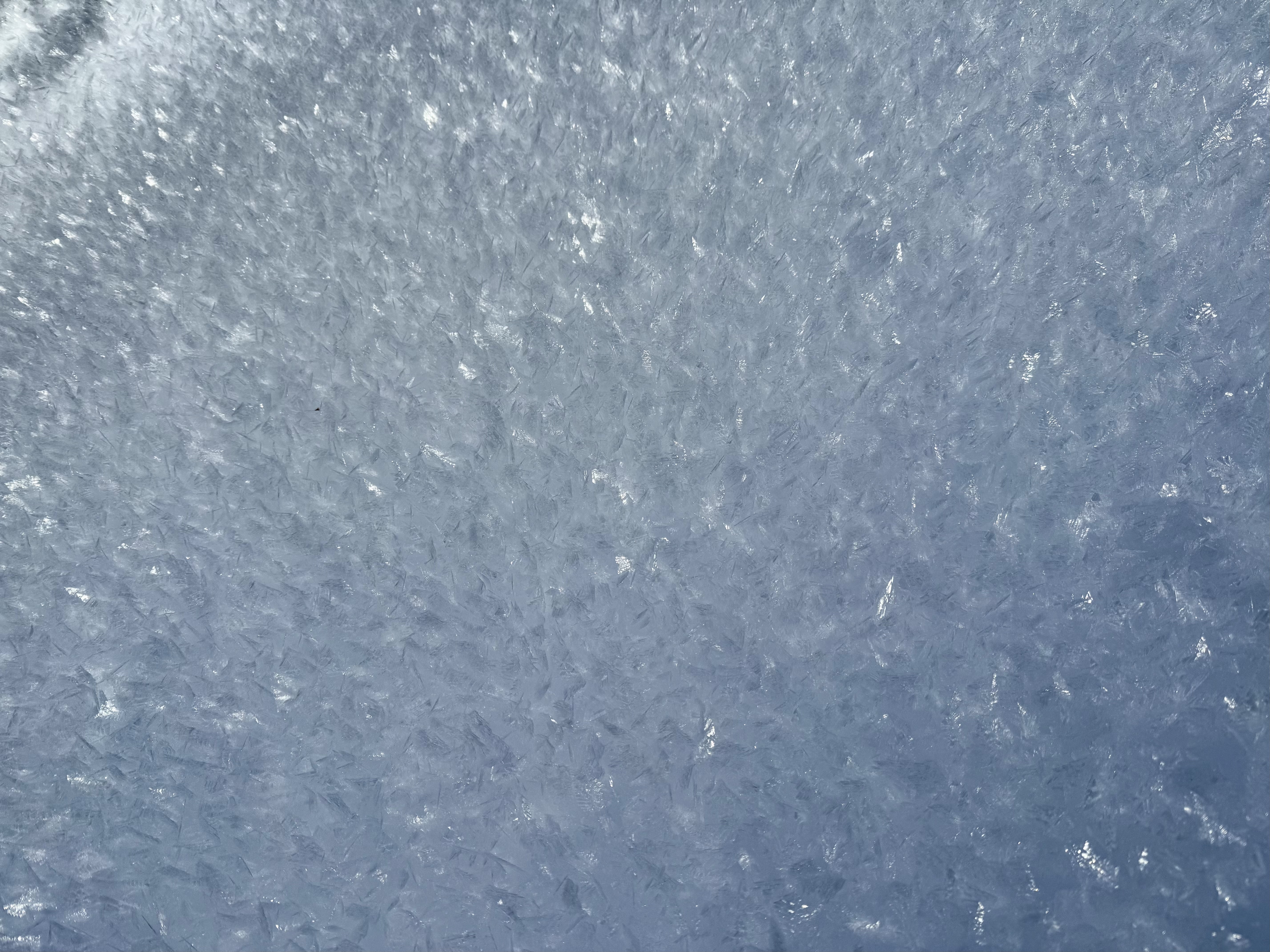 Observation photo
