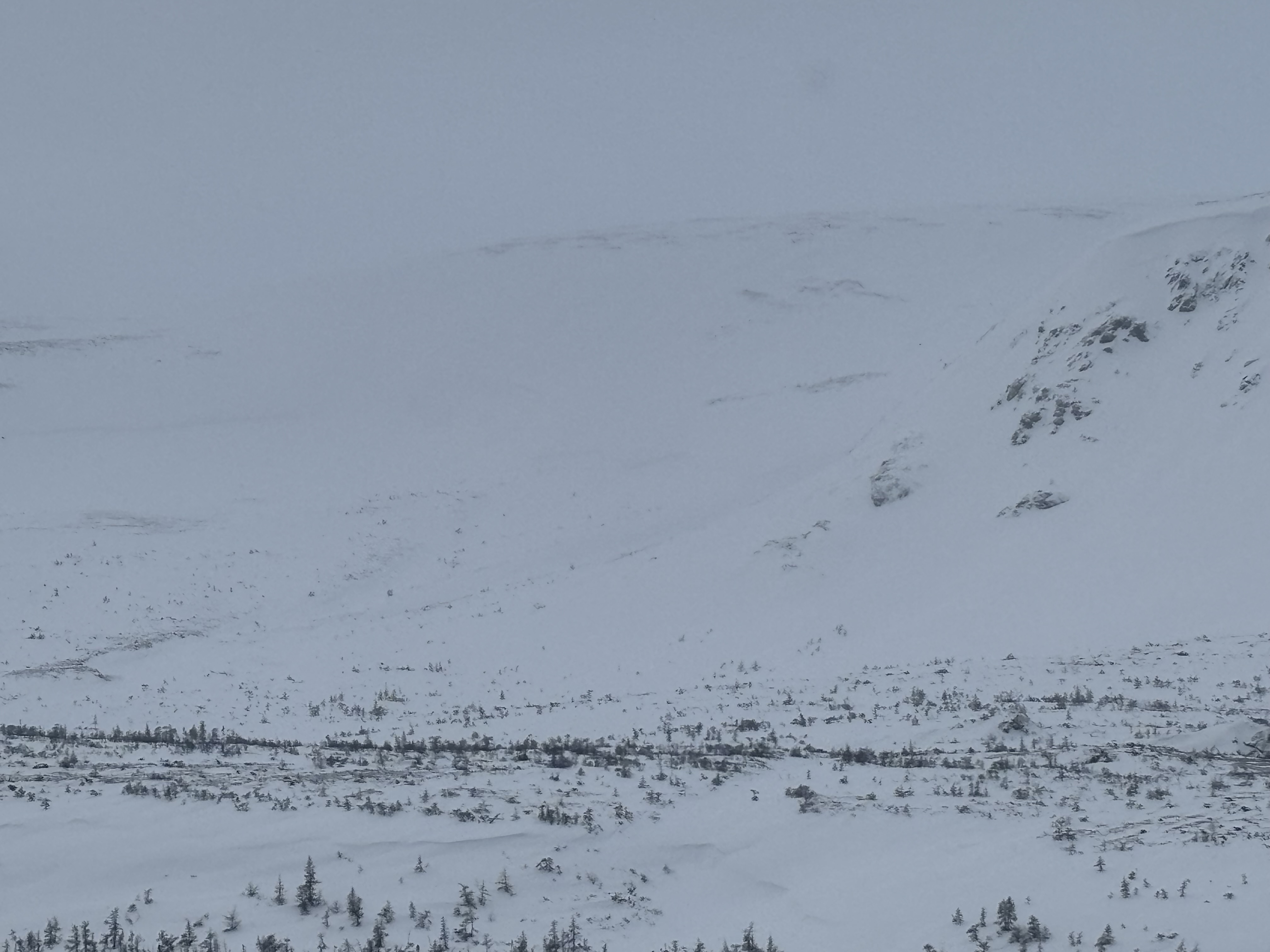 Observation photo