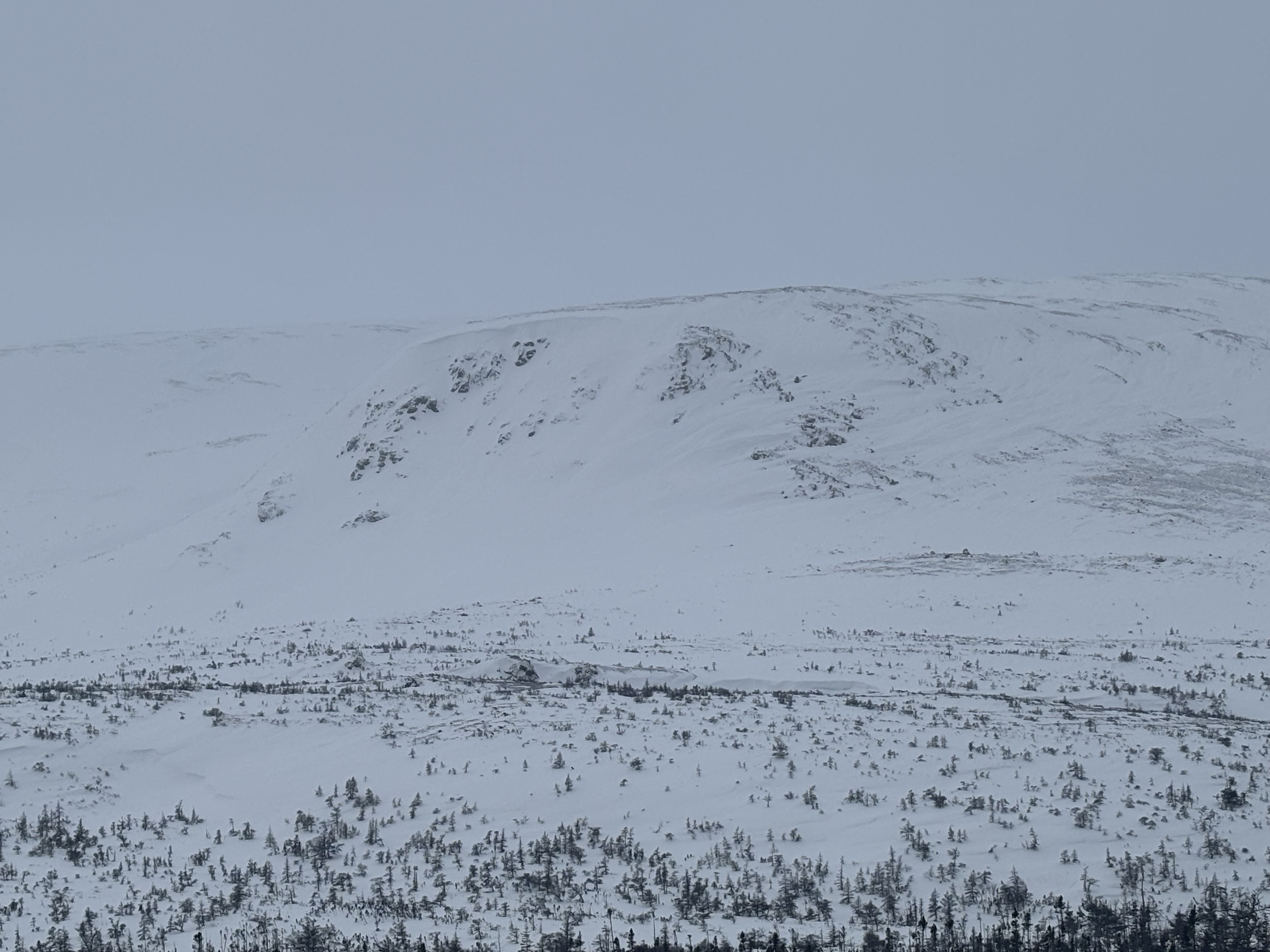 Observation photo