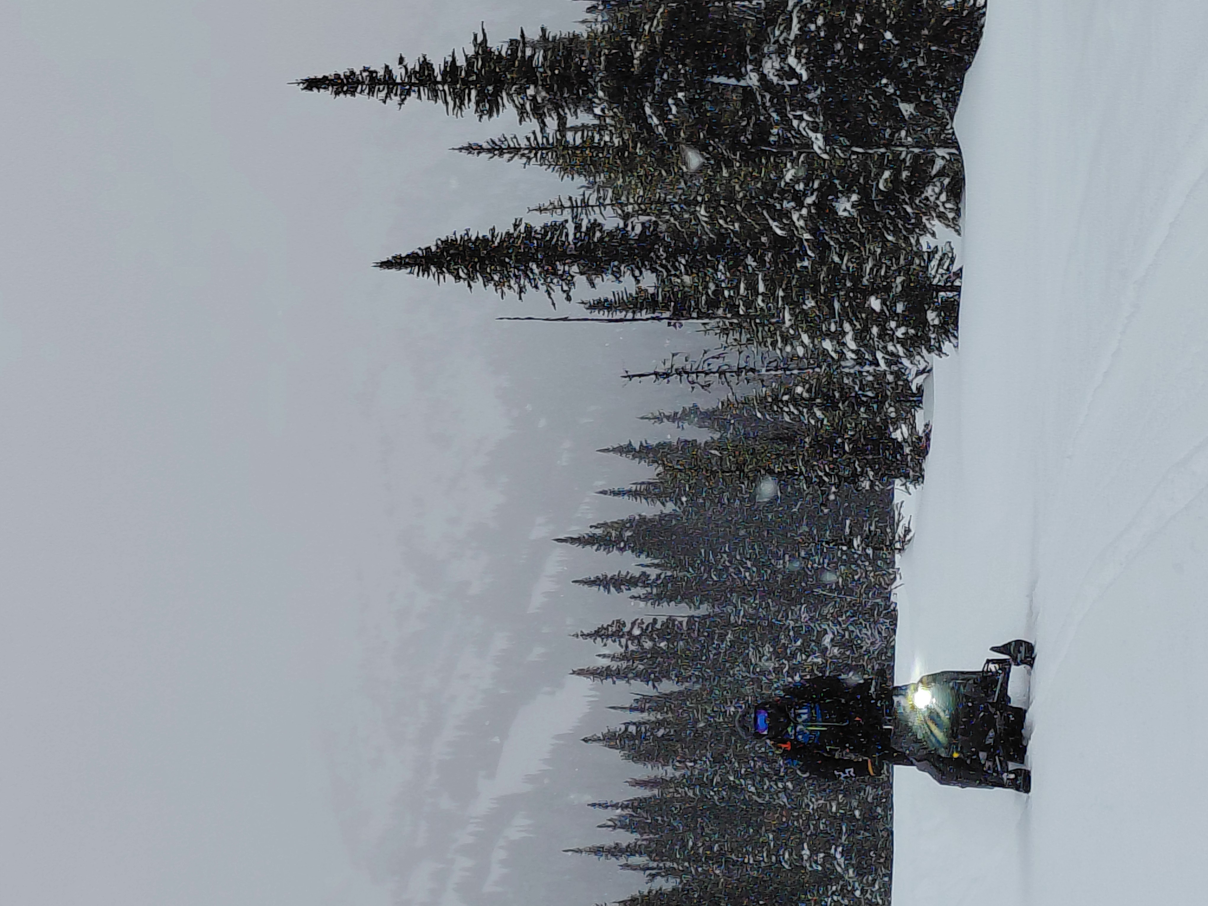 Observation photo