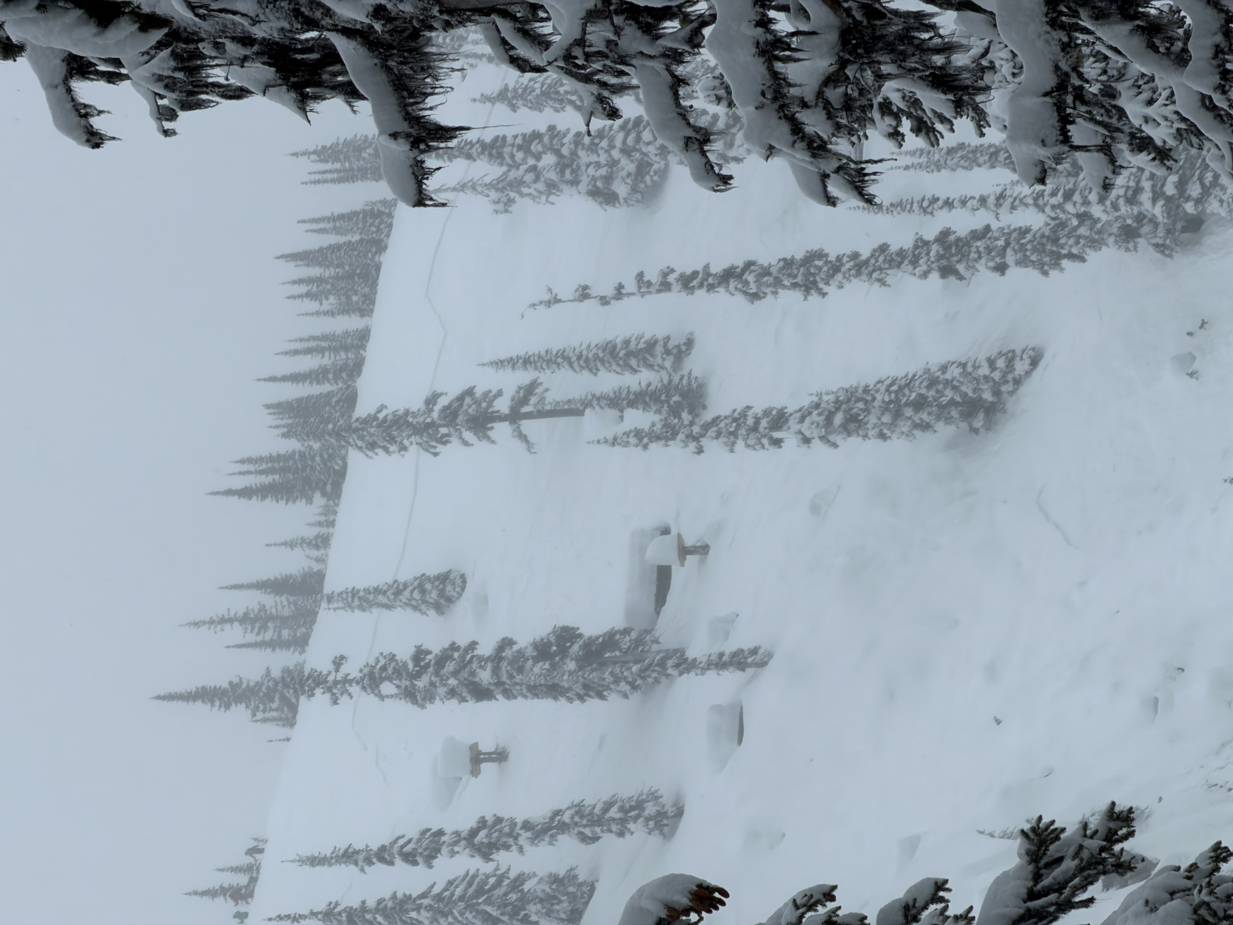 Observation photo