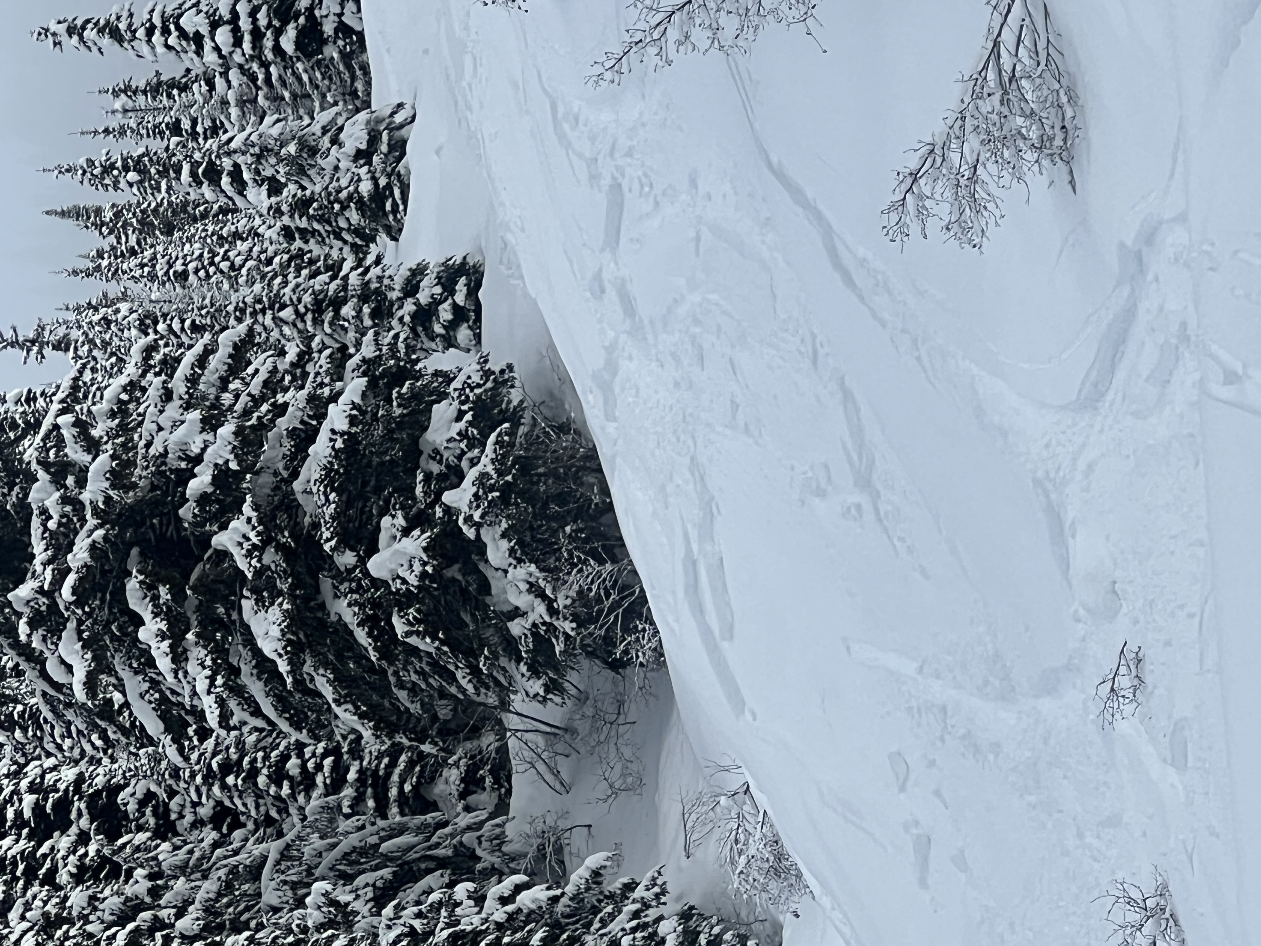 Observation photo