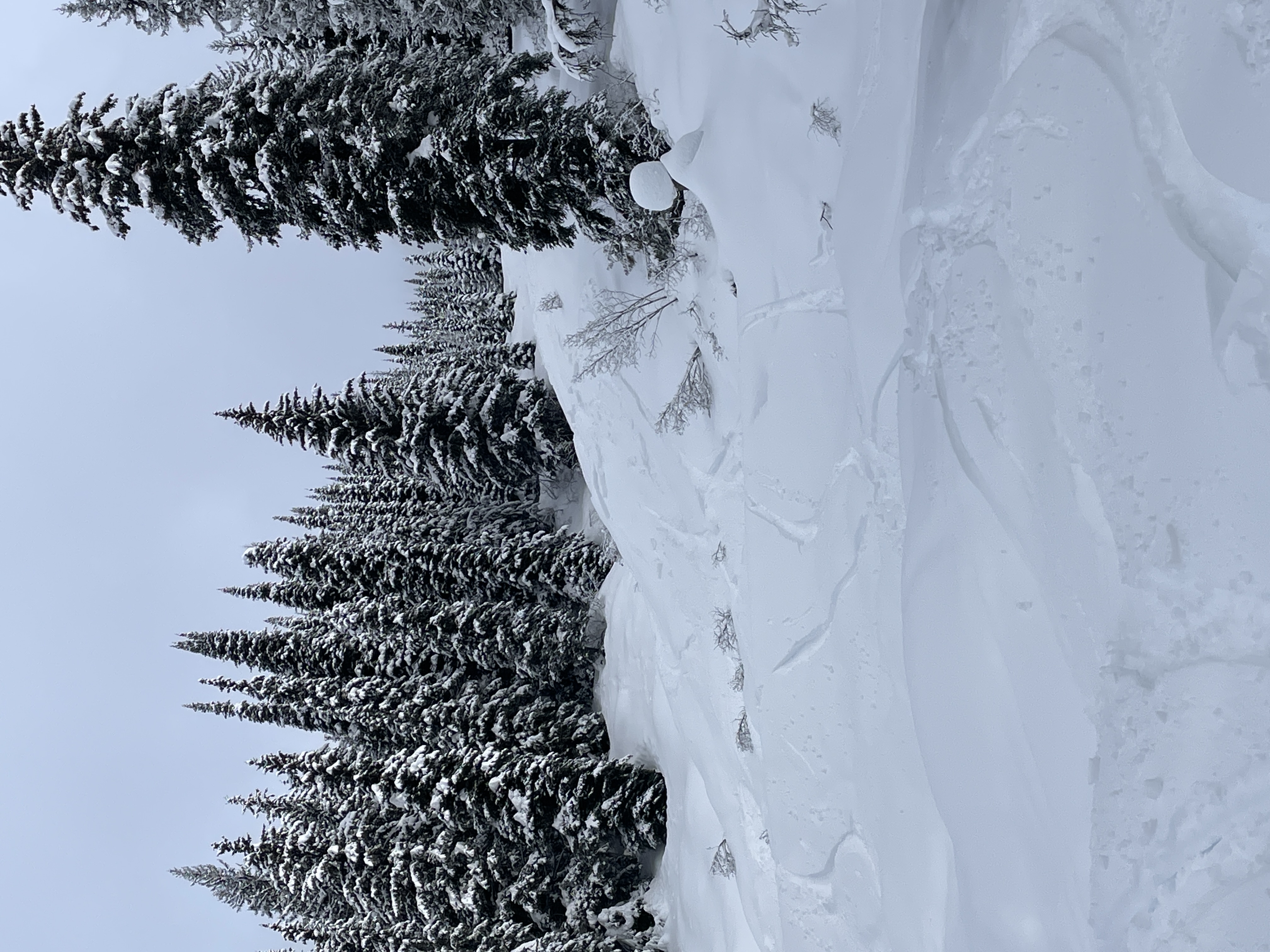Observation photo