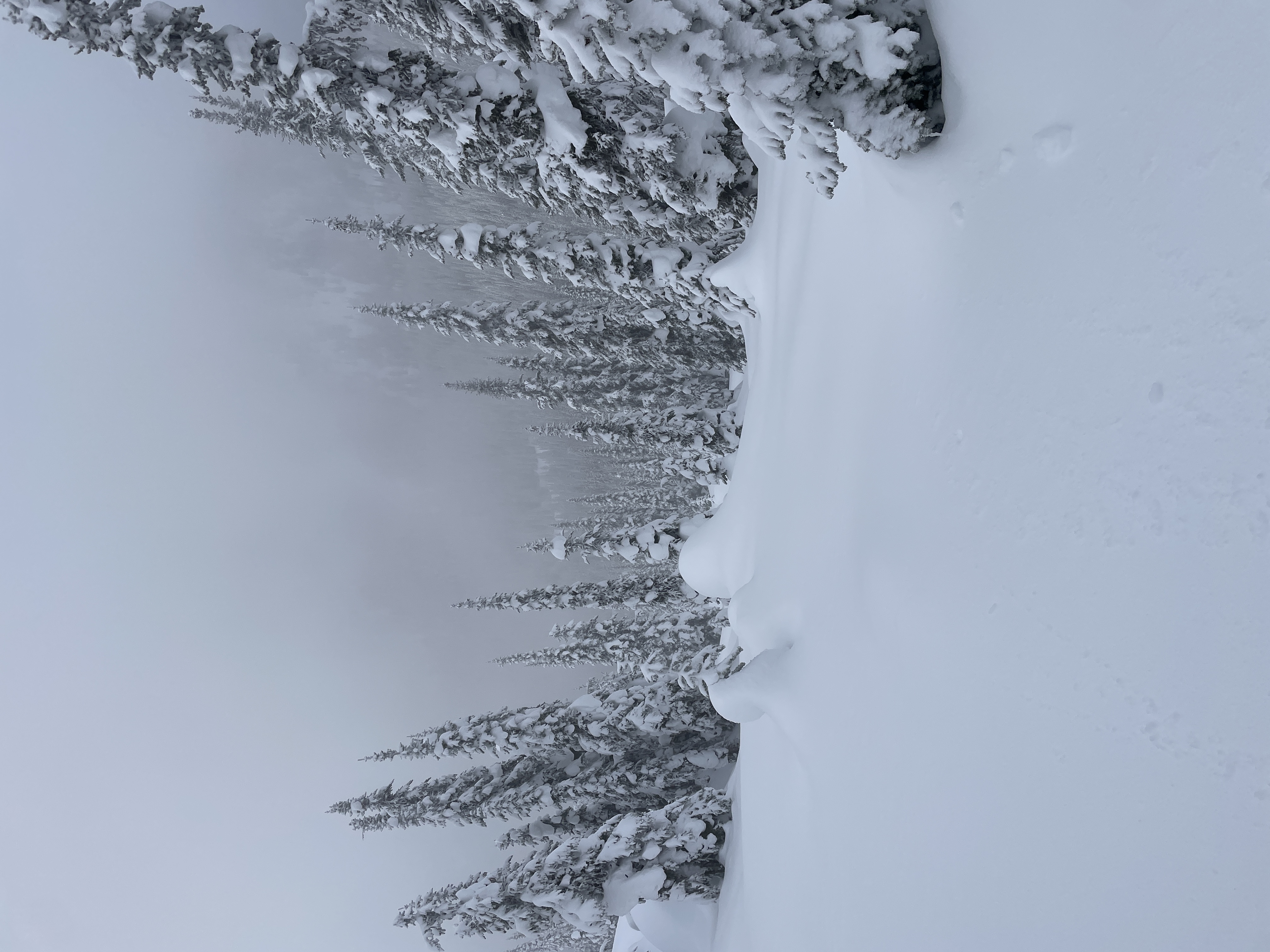 Observation photo