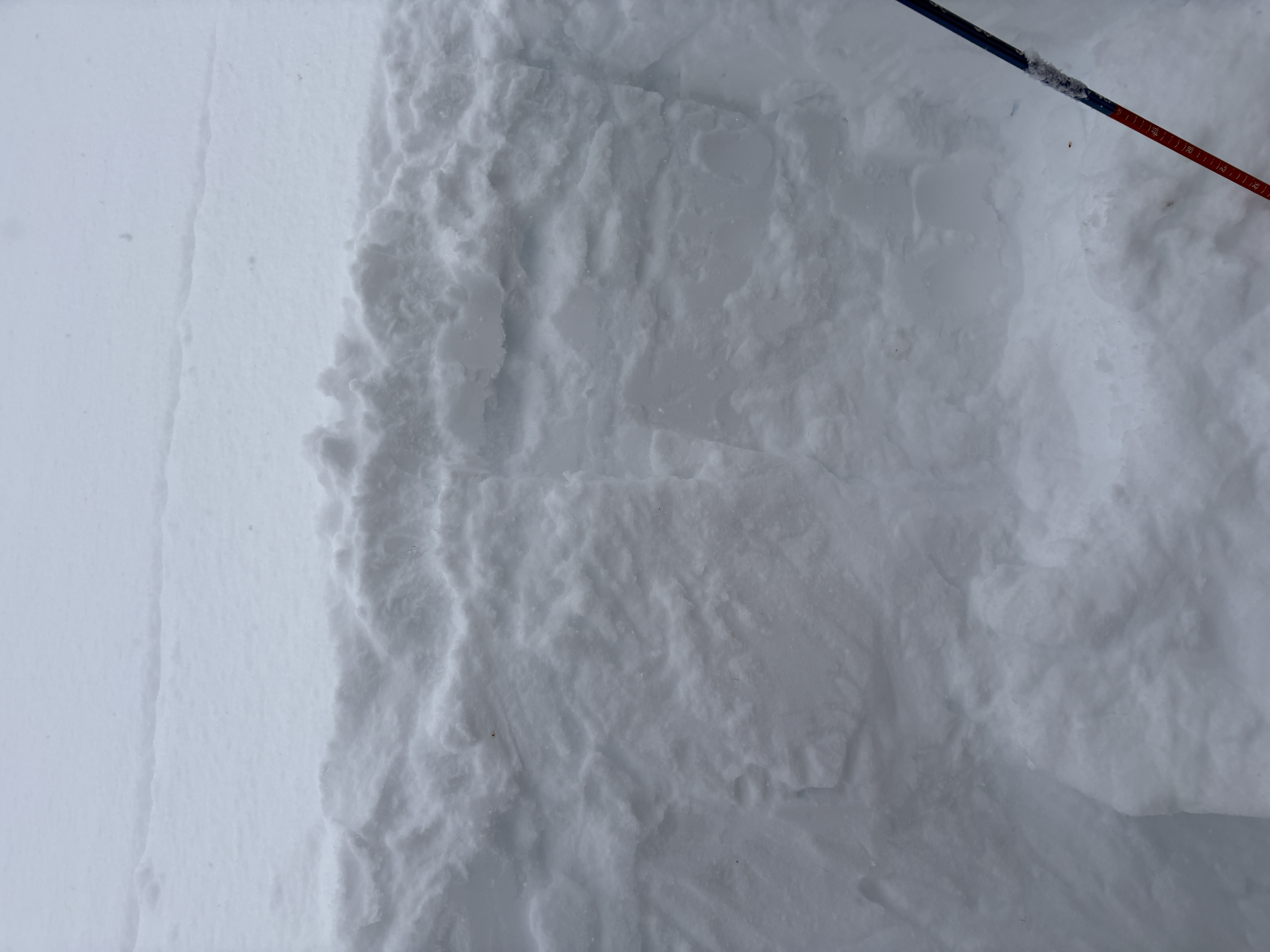Observation photo