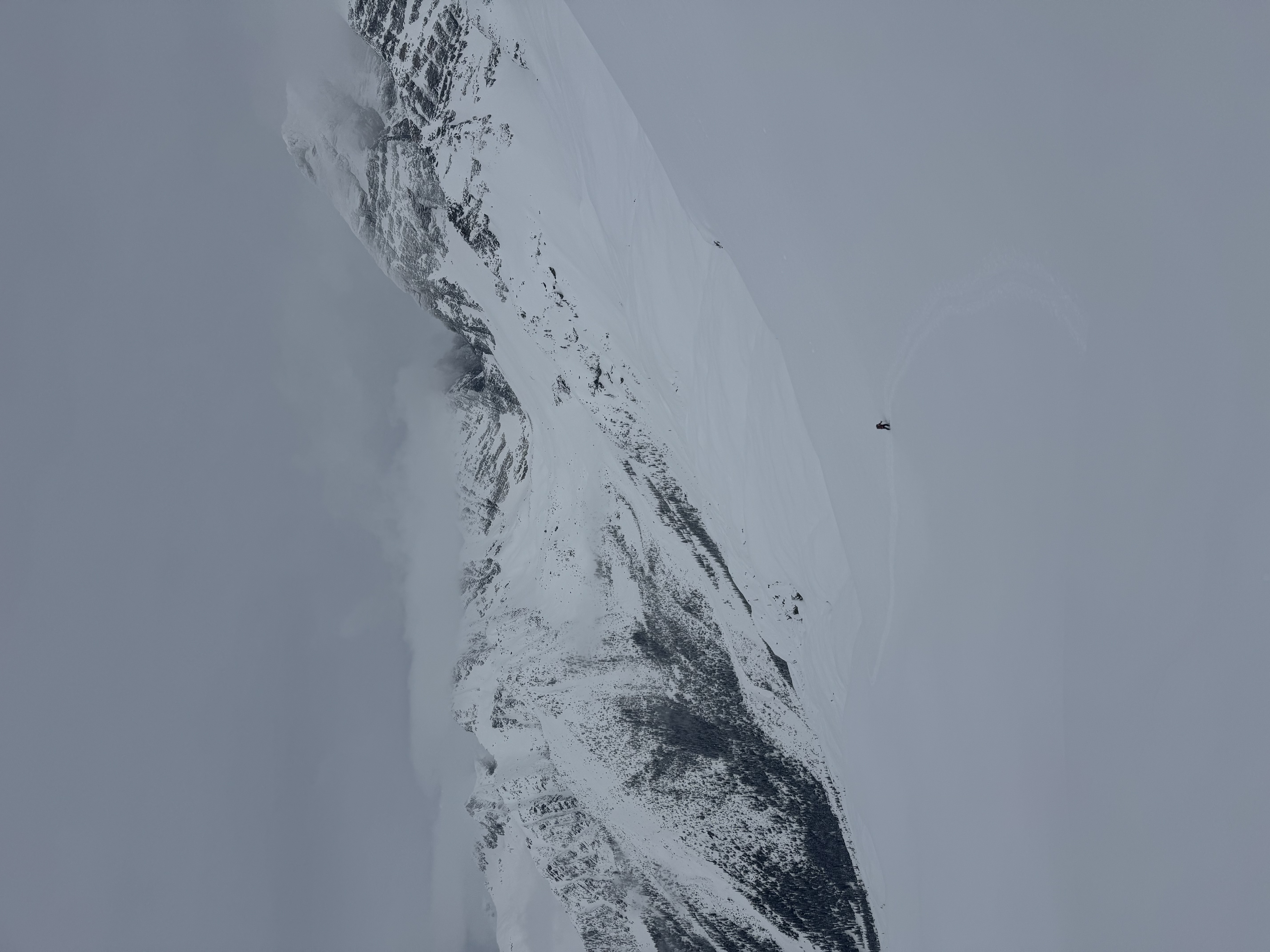 Observation photo