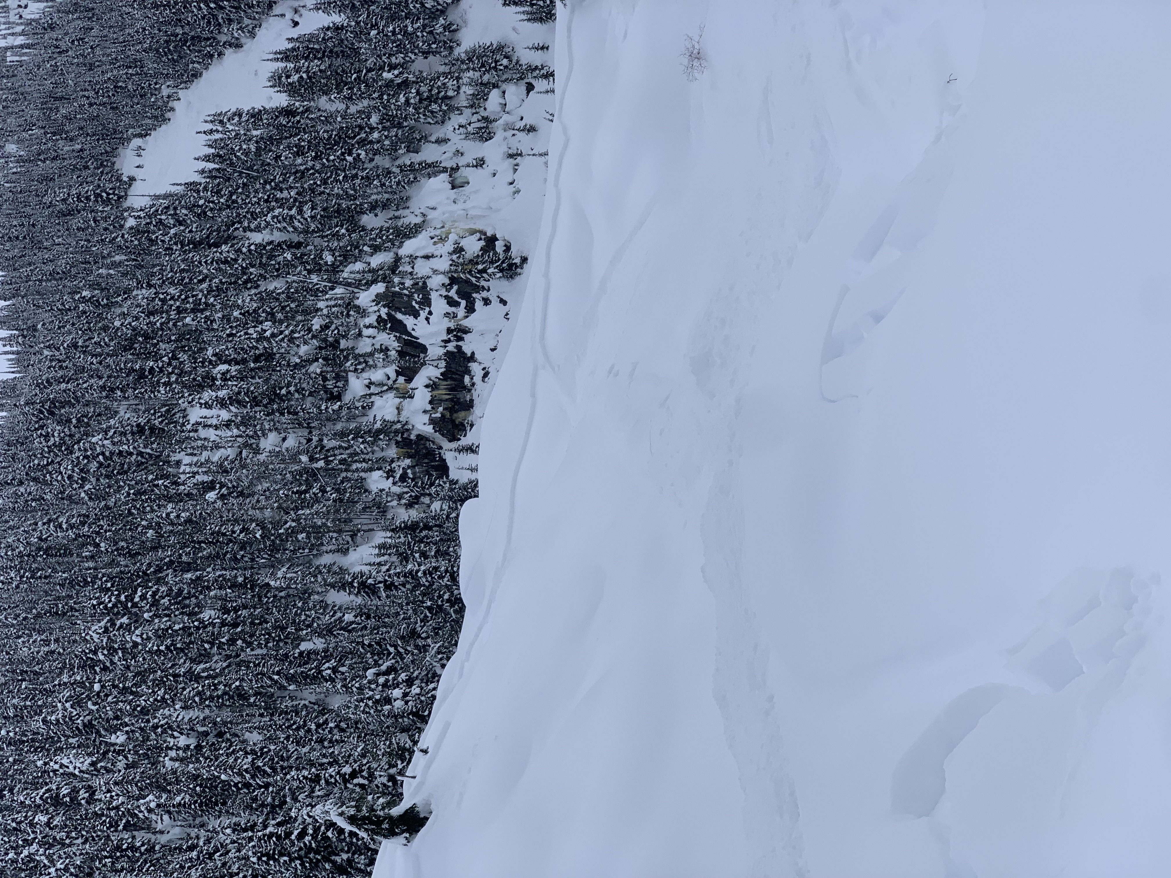 Observation photo