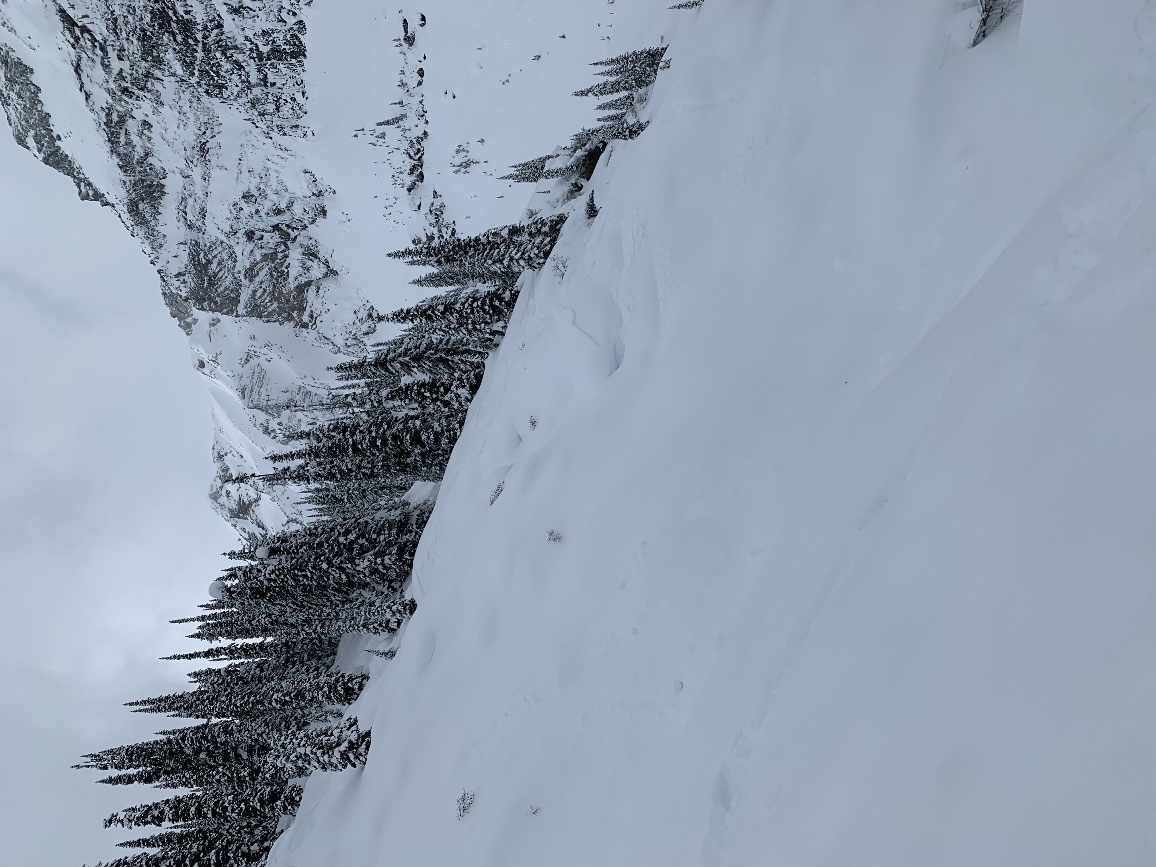 Observation photo