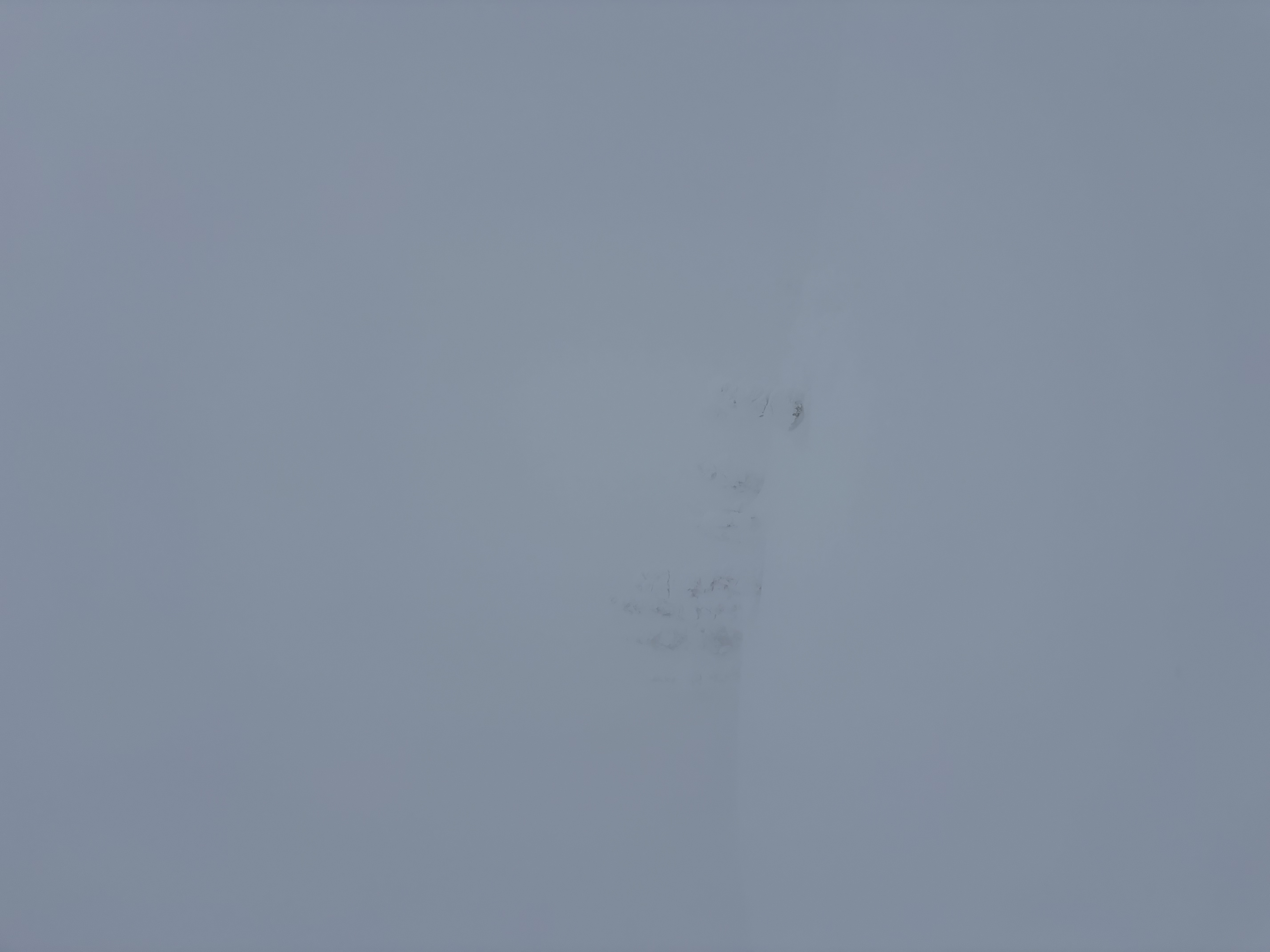 Observation photo